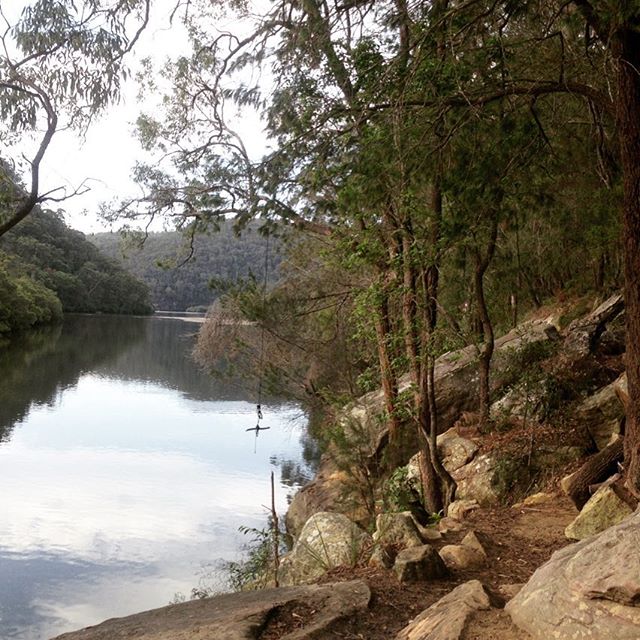 Riverway, Sydney, Australia. 