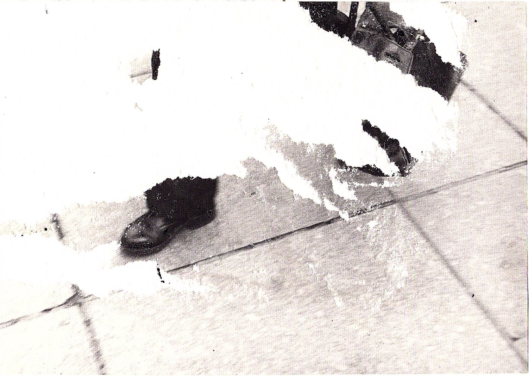 Foot, 2022, décollage, 15 x 10 cm