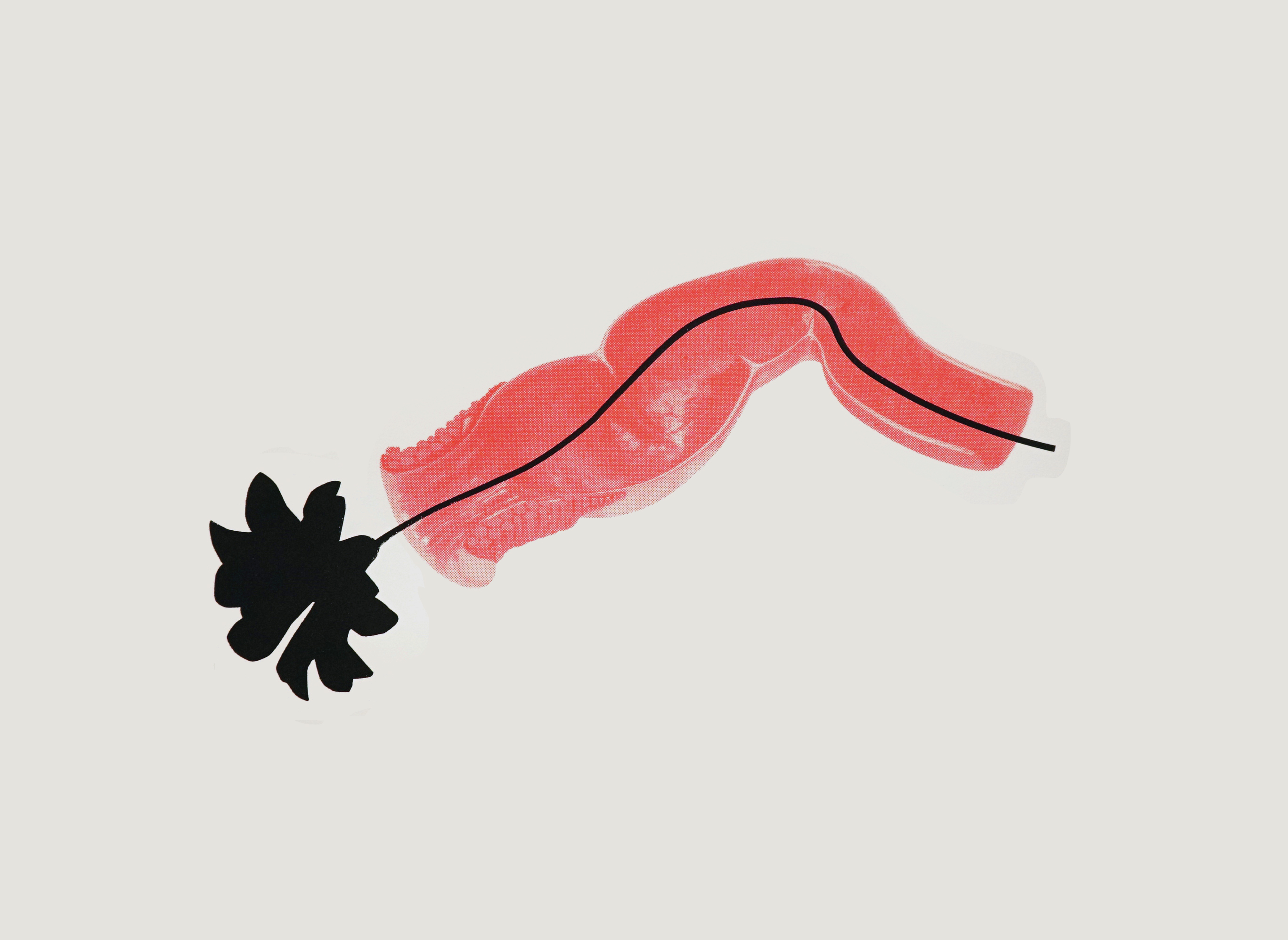 Study for a vase, screen printed on cotton paper, 2017