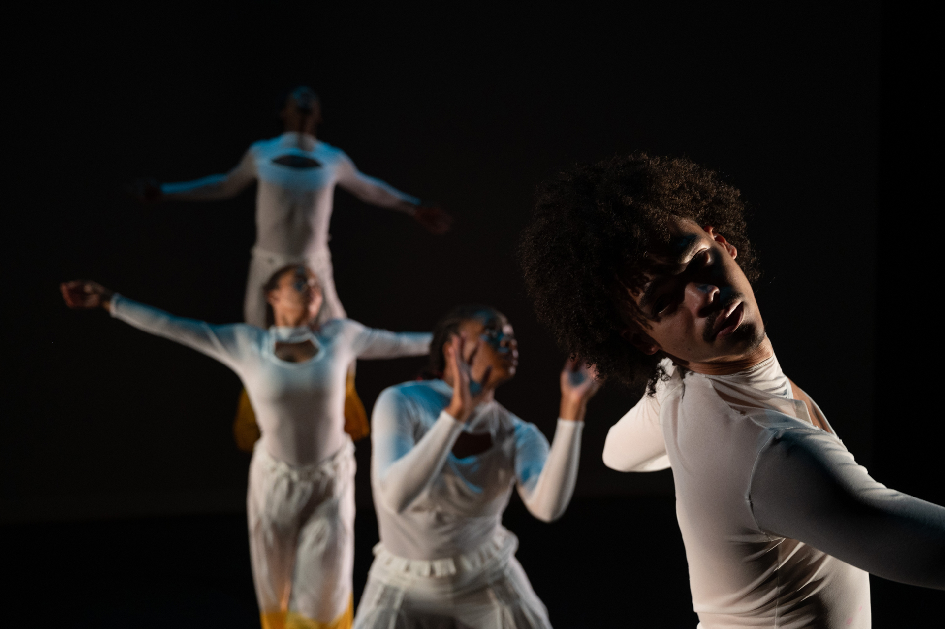 RISE, photo: Johanna Austin