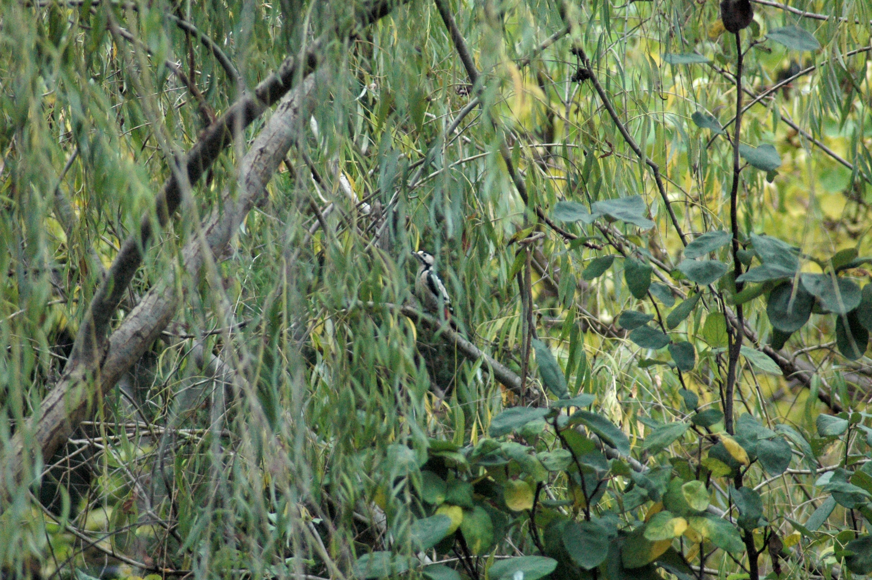 03.11.2013, Kampüs dışı