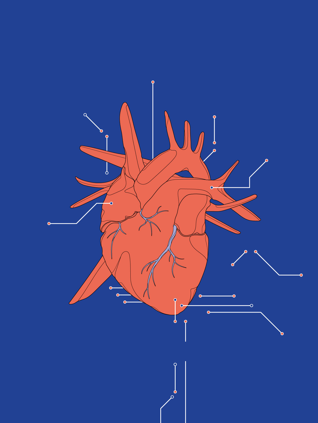 Zum Themenschwerpunkt «Digital Health» | On the thematic focus ‘Digital Health’