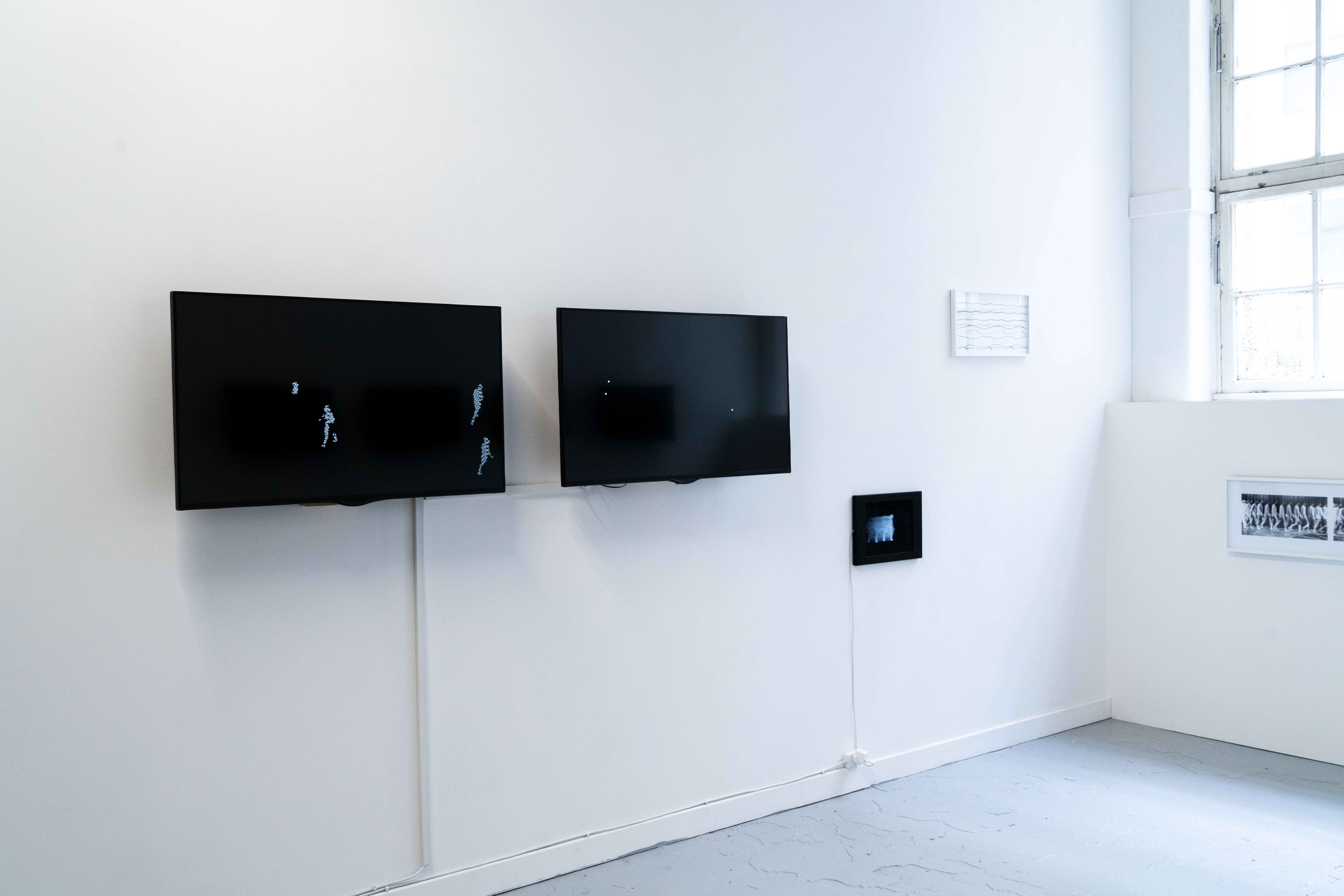 Motion Detection, Motion Perception, Low to High Density Locomotion, Tracewalk