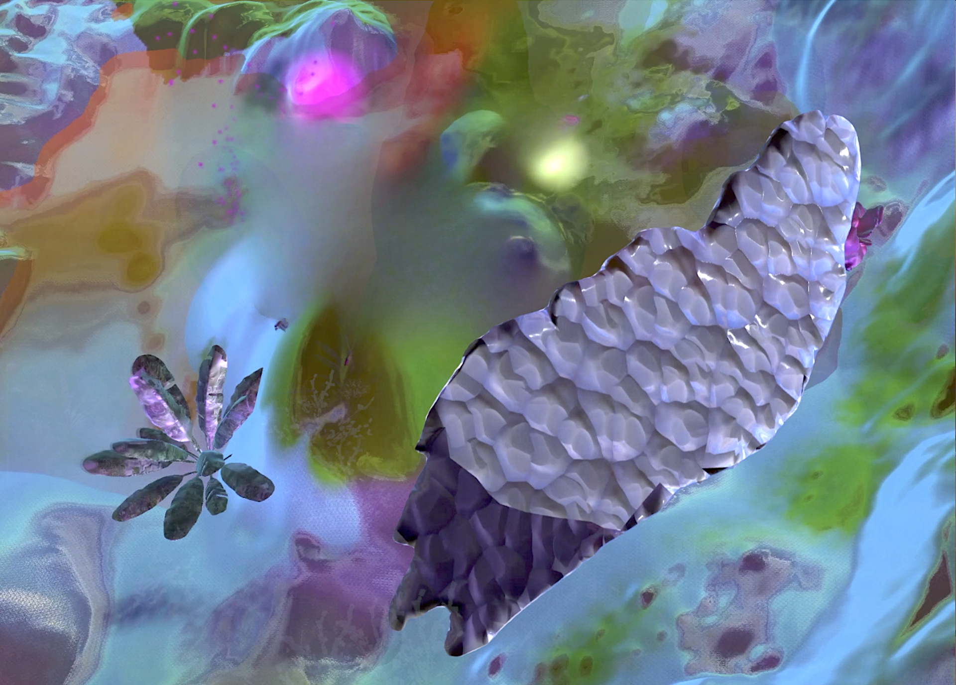 Still life from the vide, 2023