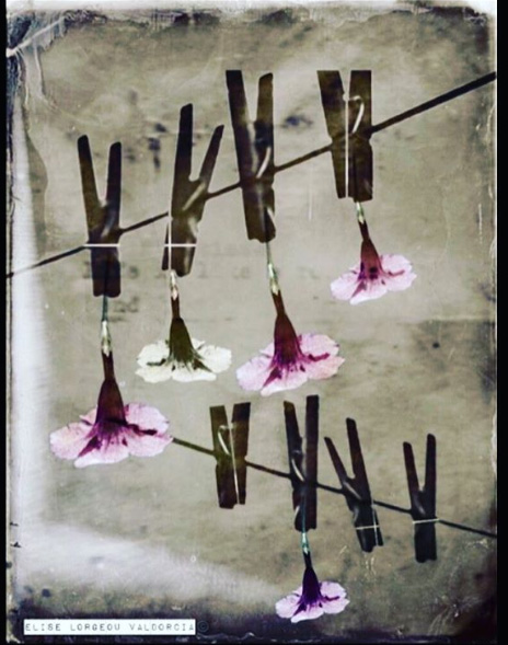 Elise Valdorcia Lorgeou