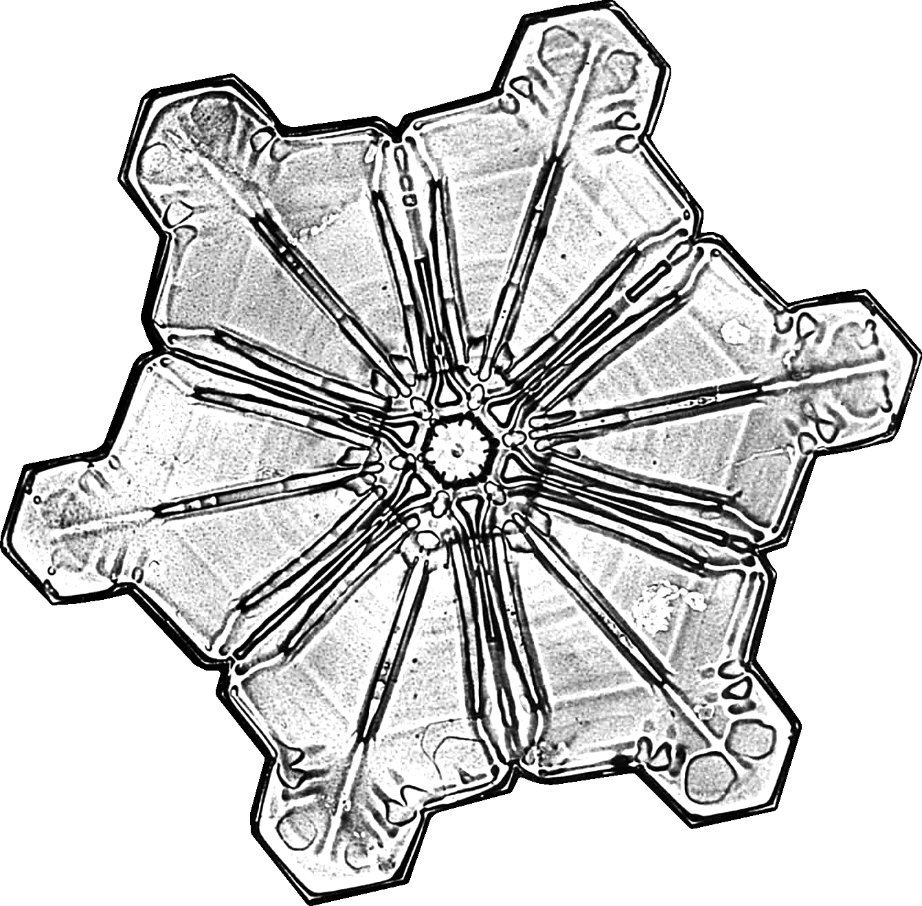 Samson Cheung: Learn How To Walk