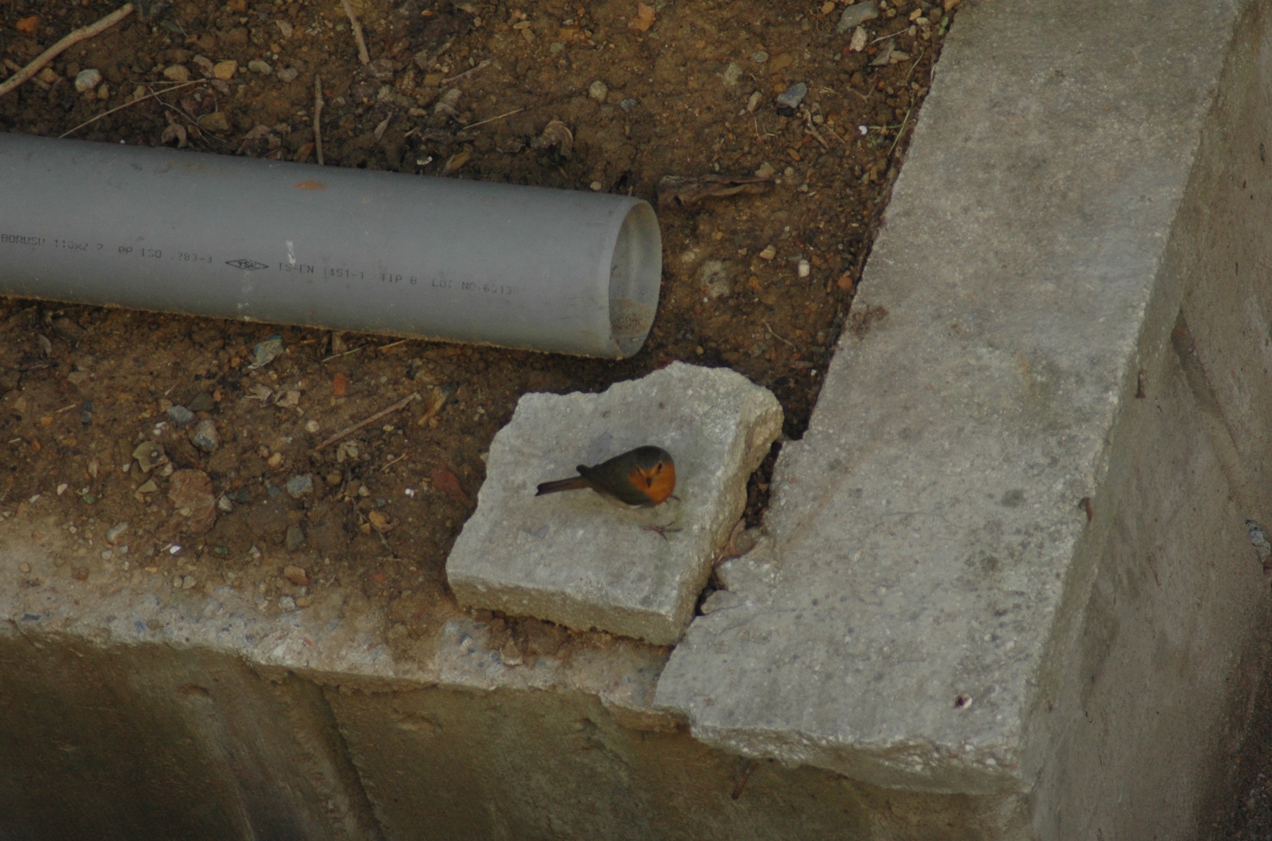 31.01.2012, Kışla Binası