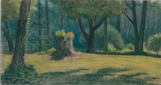 P1.65 - Grubbs mill marigolds