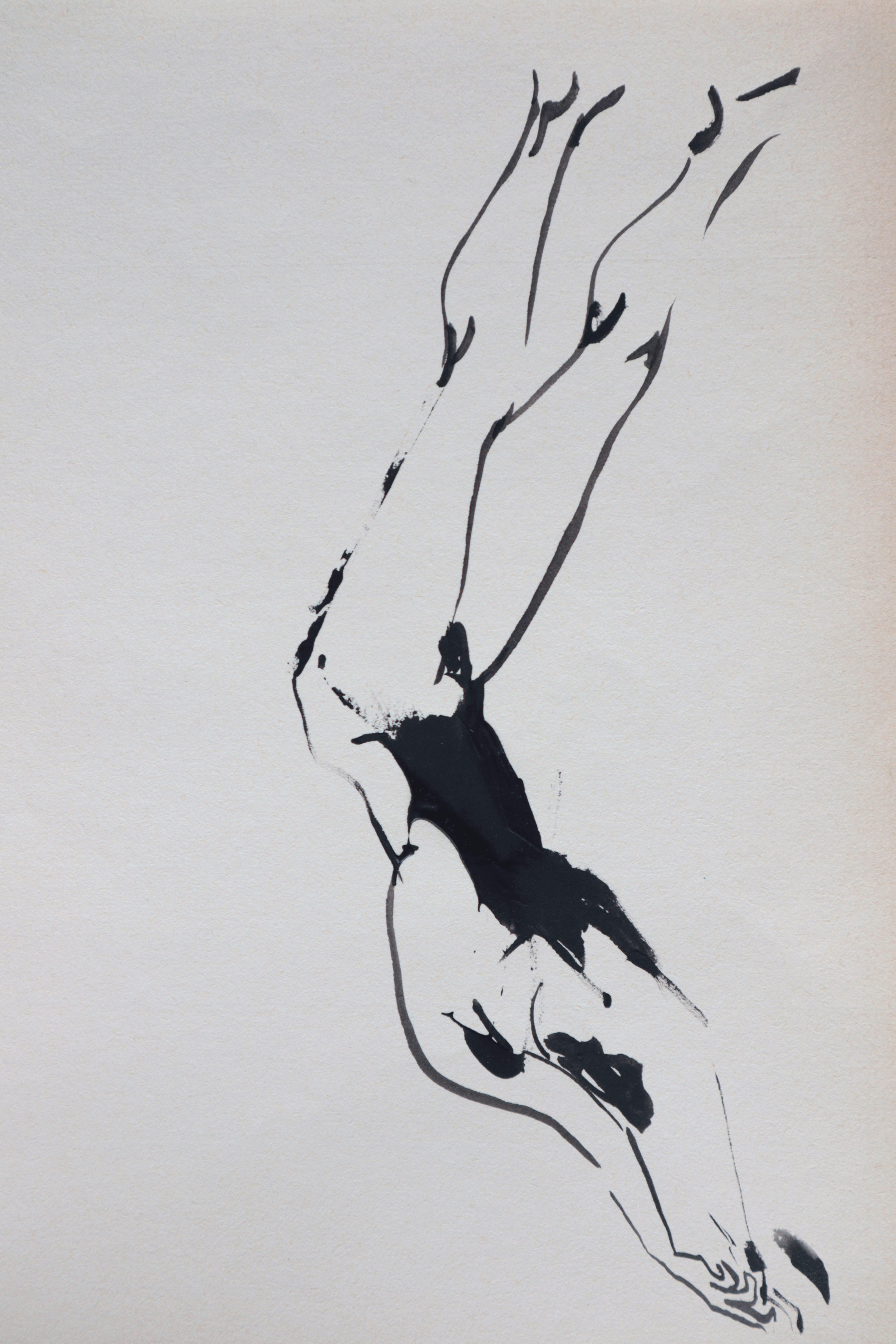 Chute libre, 34x27cm, 2021