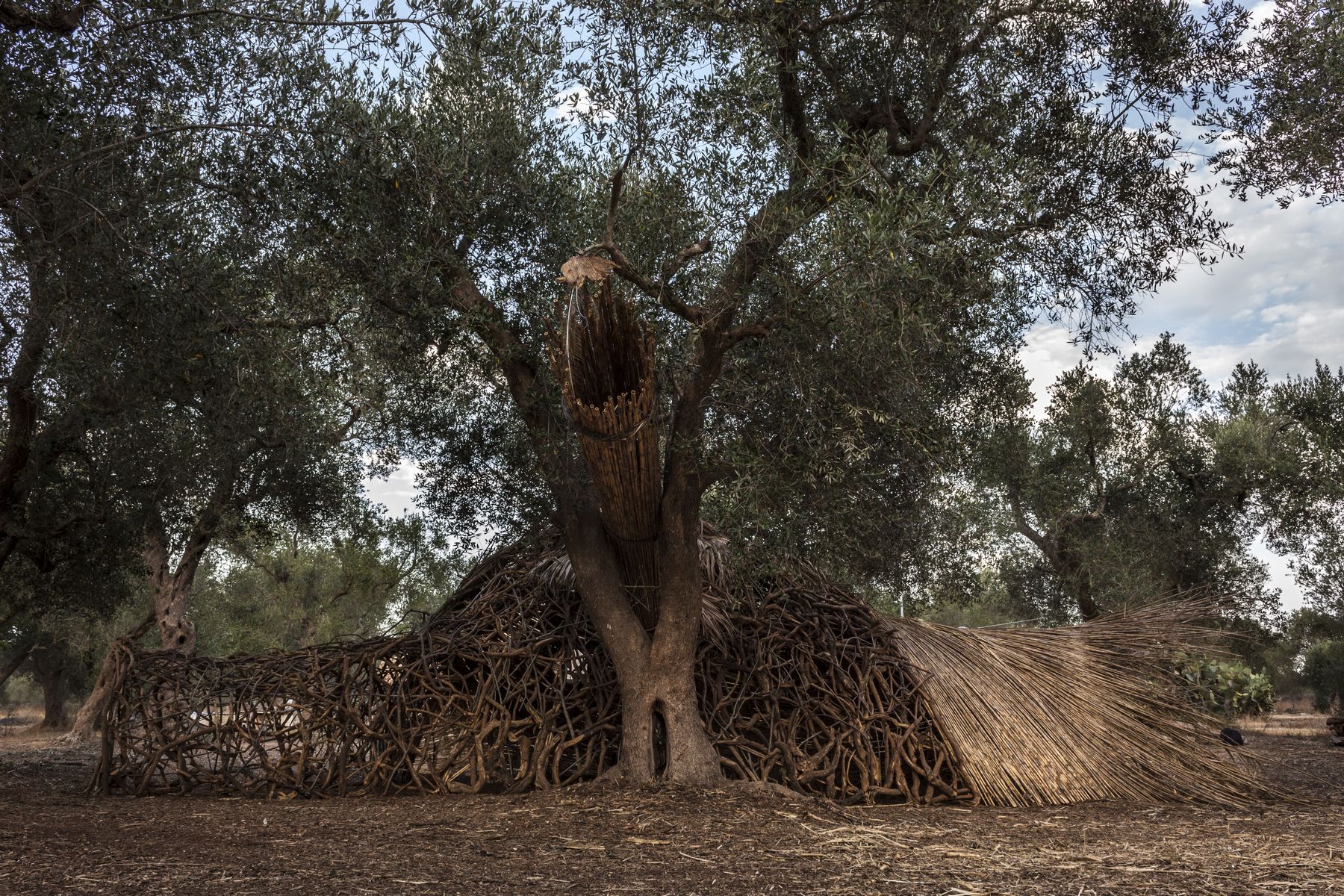 ph: Yacine Benseddik