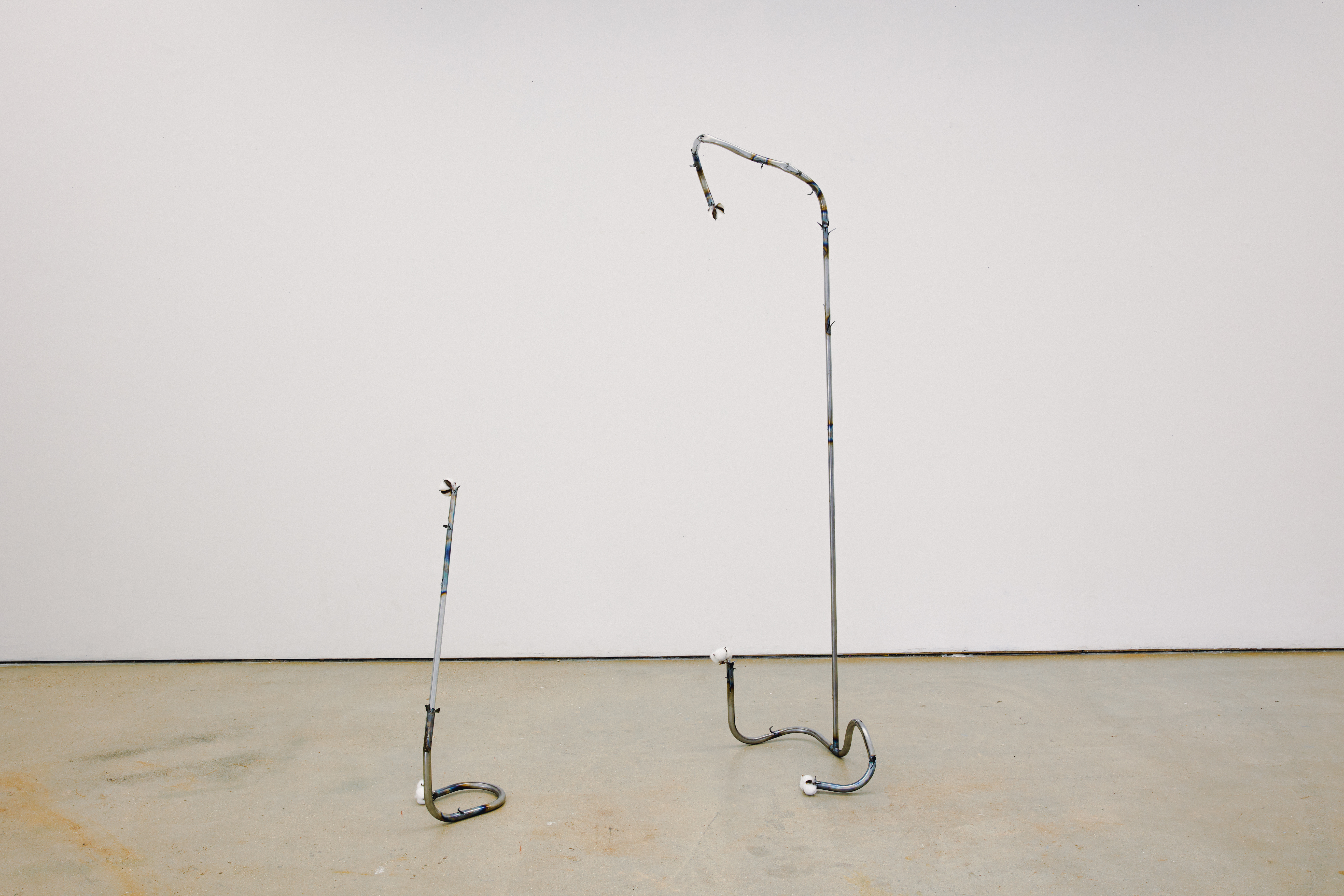 Cane and Able (Strange Fruit) and Cane and Able, 2025