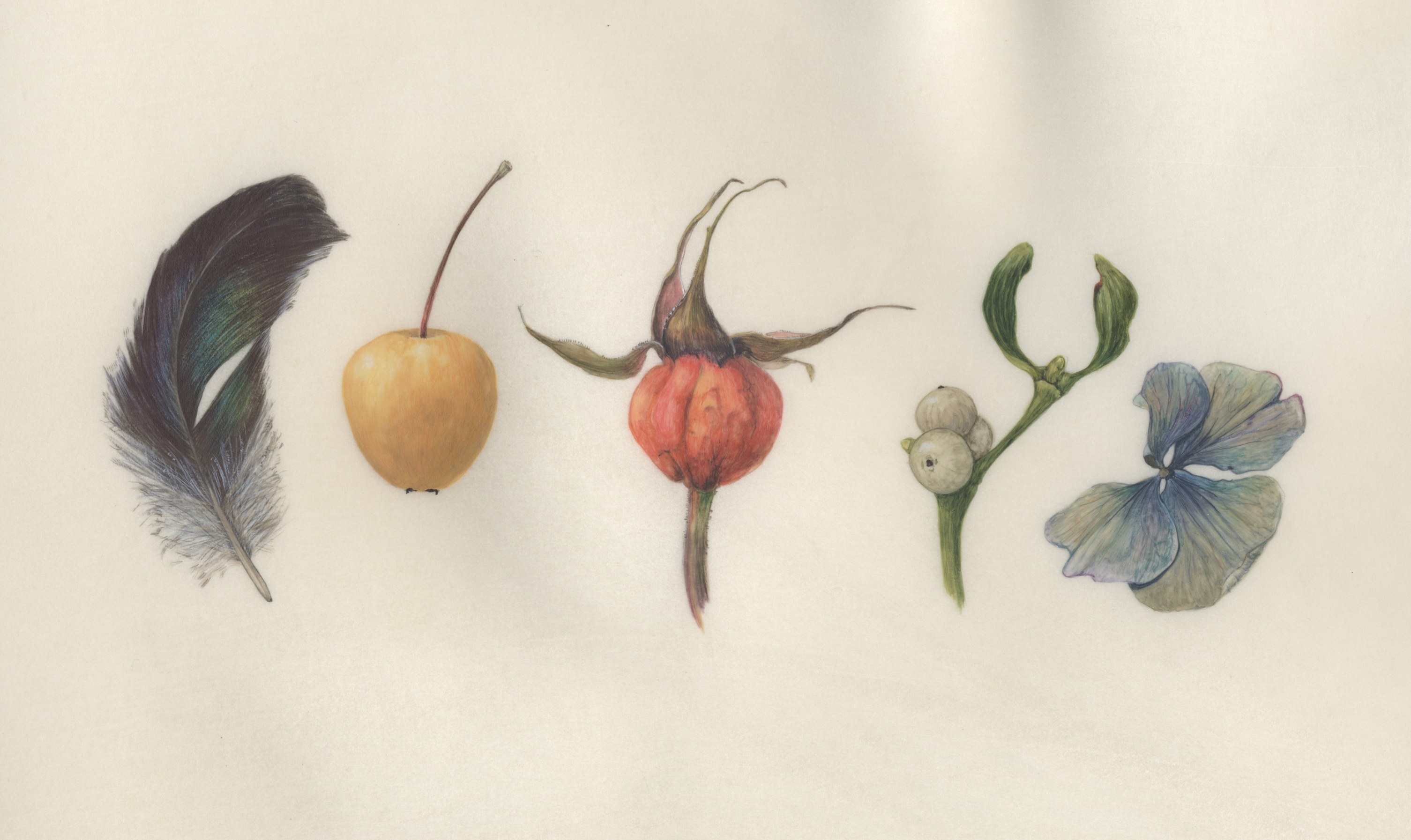 Sign of the times december