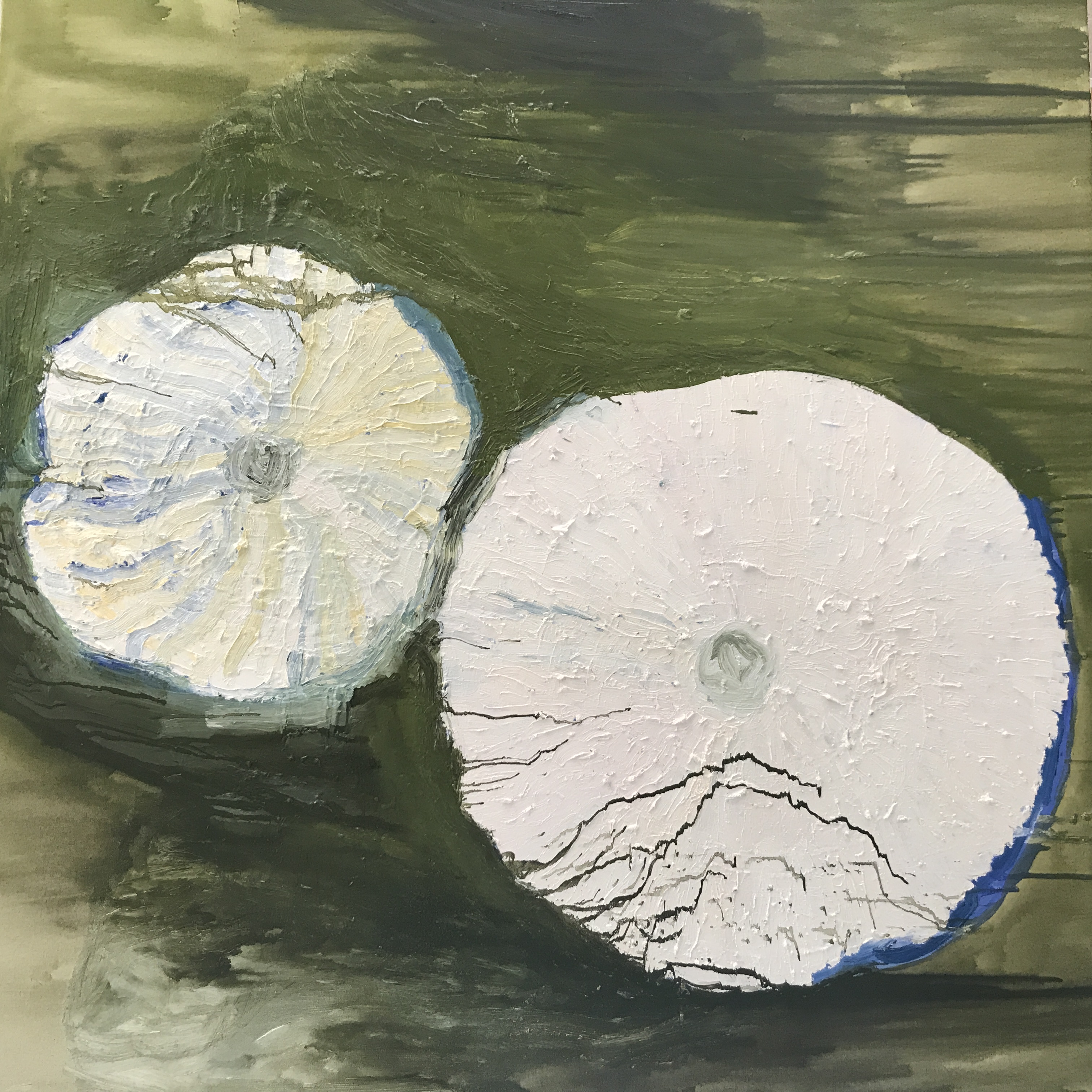 Dianthus Two, 2021, Oil on canvas, 48"x48" in