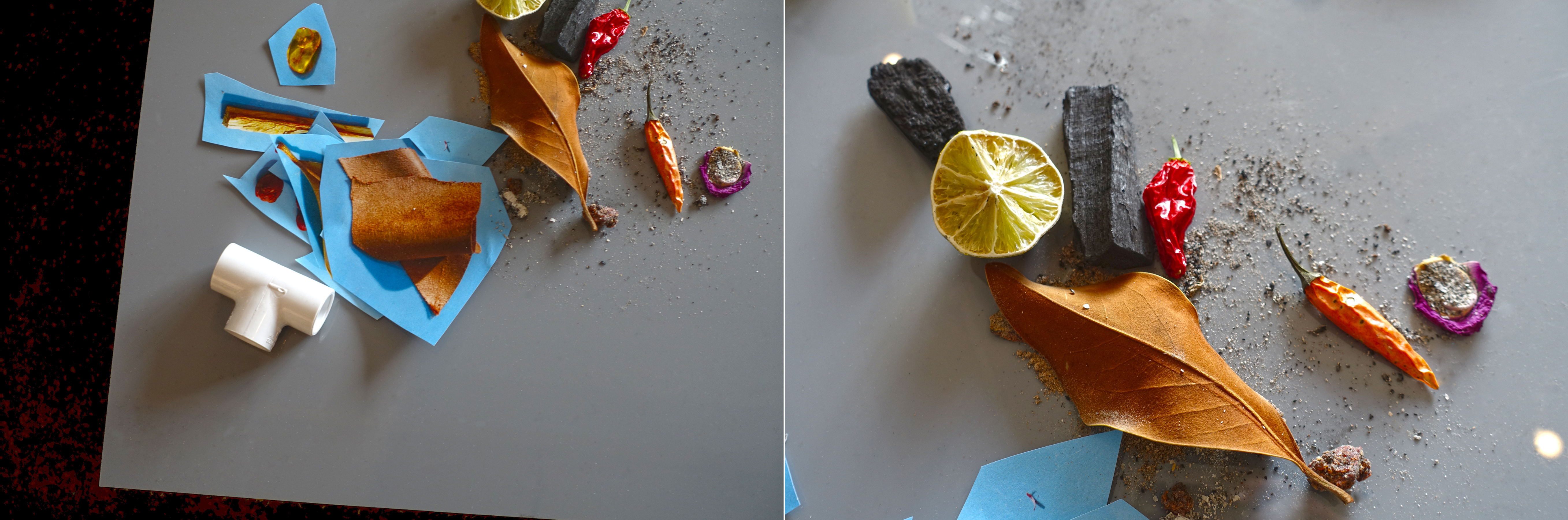 Beauty Papers Outtake, 20154/4