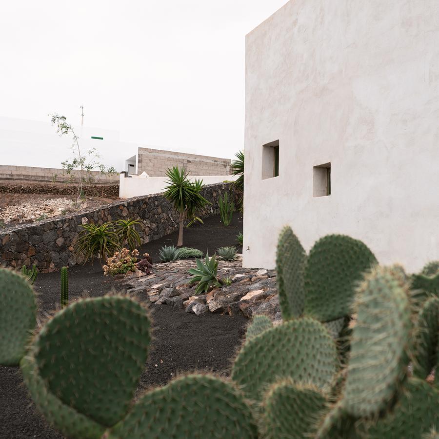 Garden for Casa Tinajo