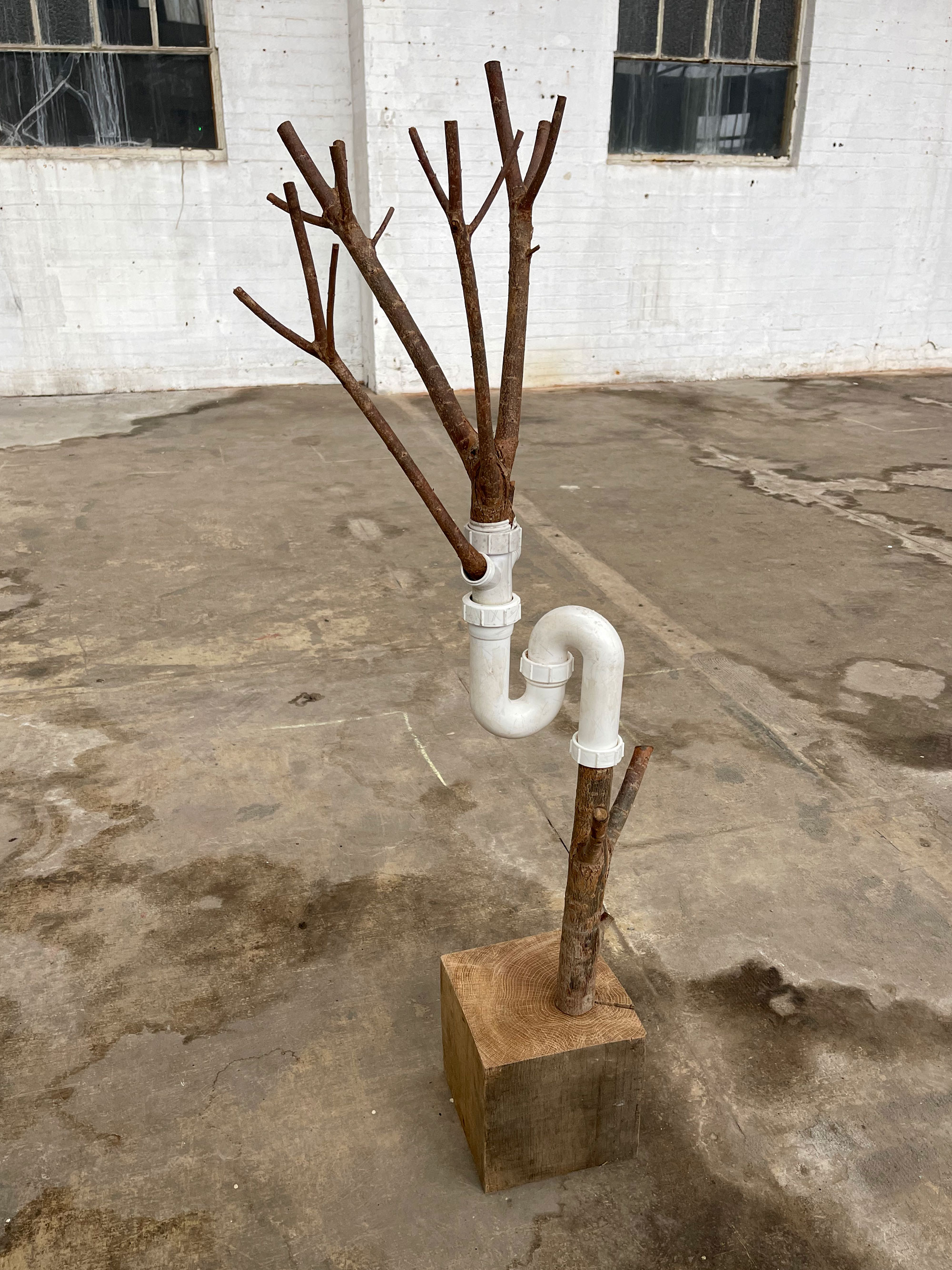 Piped, wood, plastic, 106 x 33 x 37 cm