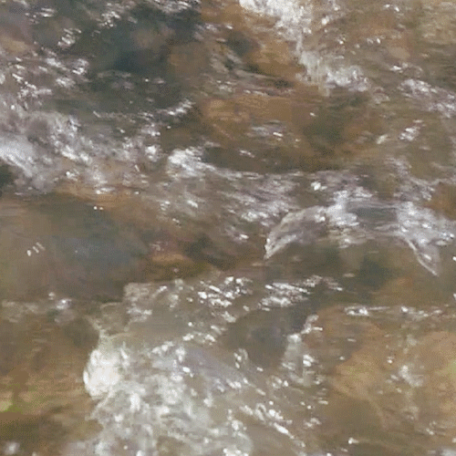 Spending Quality Time, Together - video installation