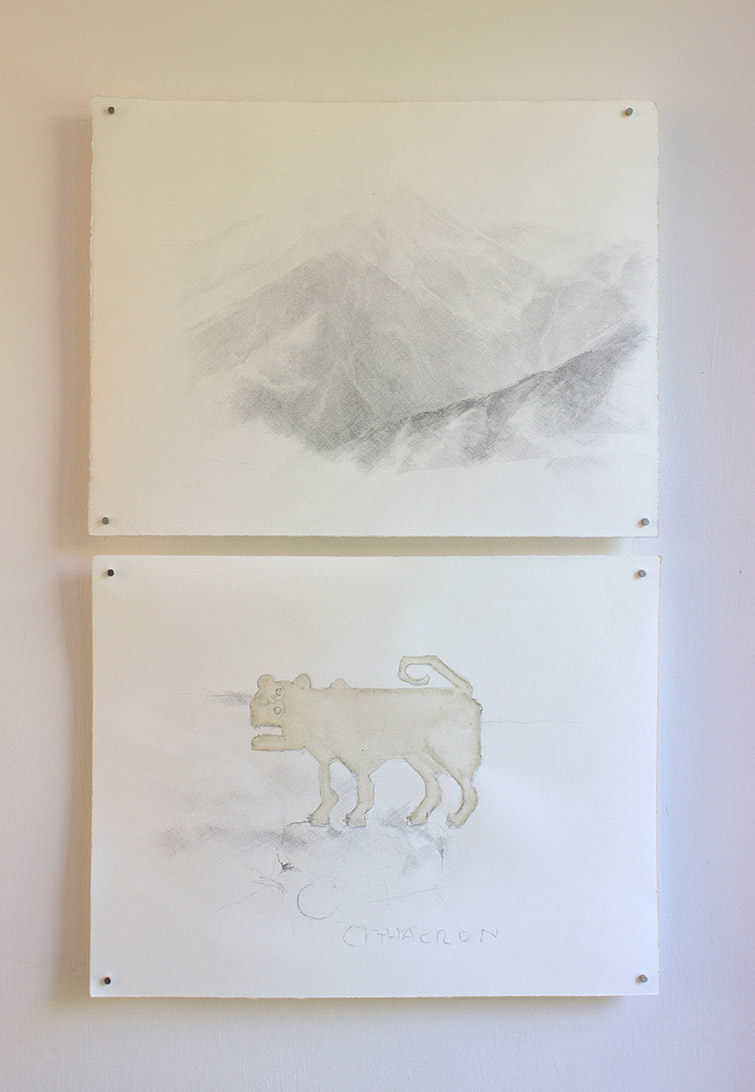 Lion of Cithaeron, drawing: pigment, pencil - 9" x 14