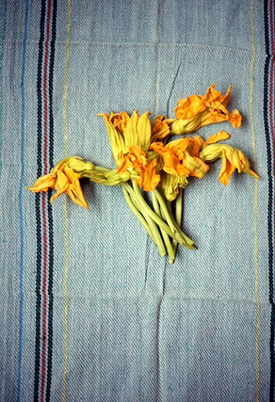 Flores de la calabaza, pigment print, 29x23cm