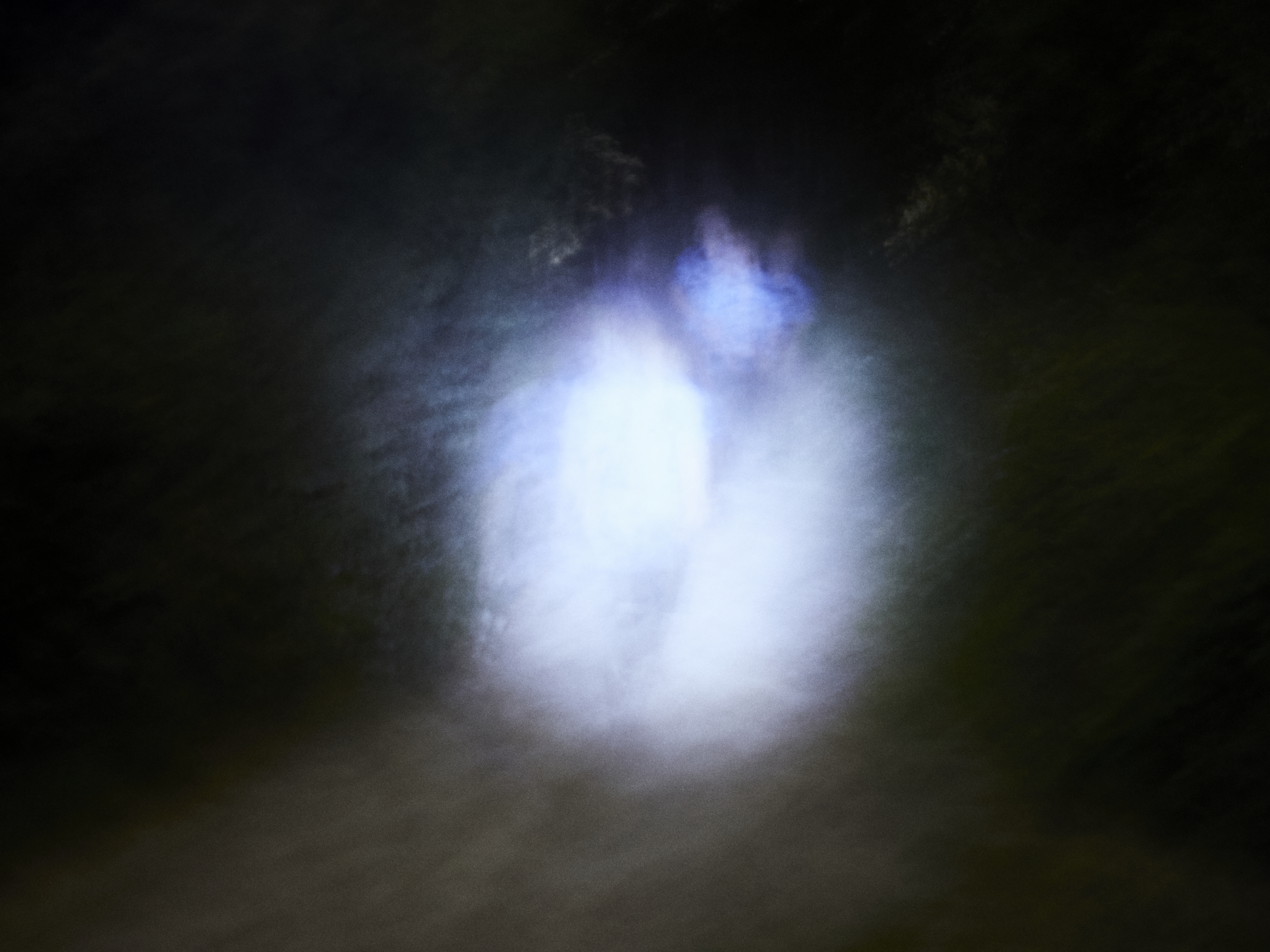 Encounter with the terror