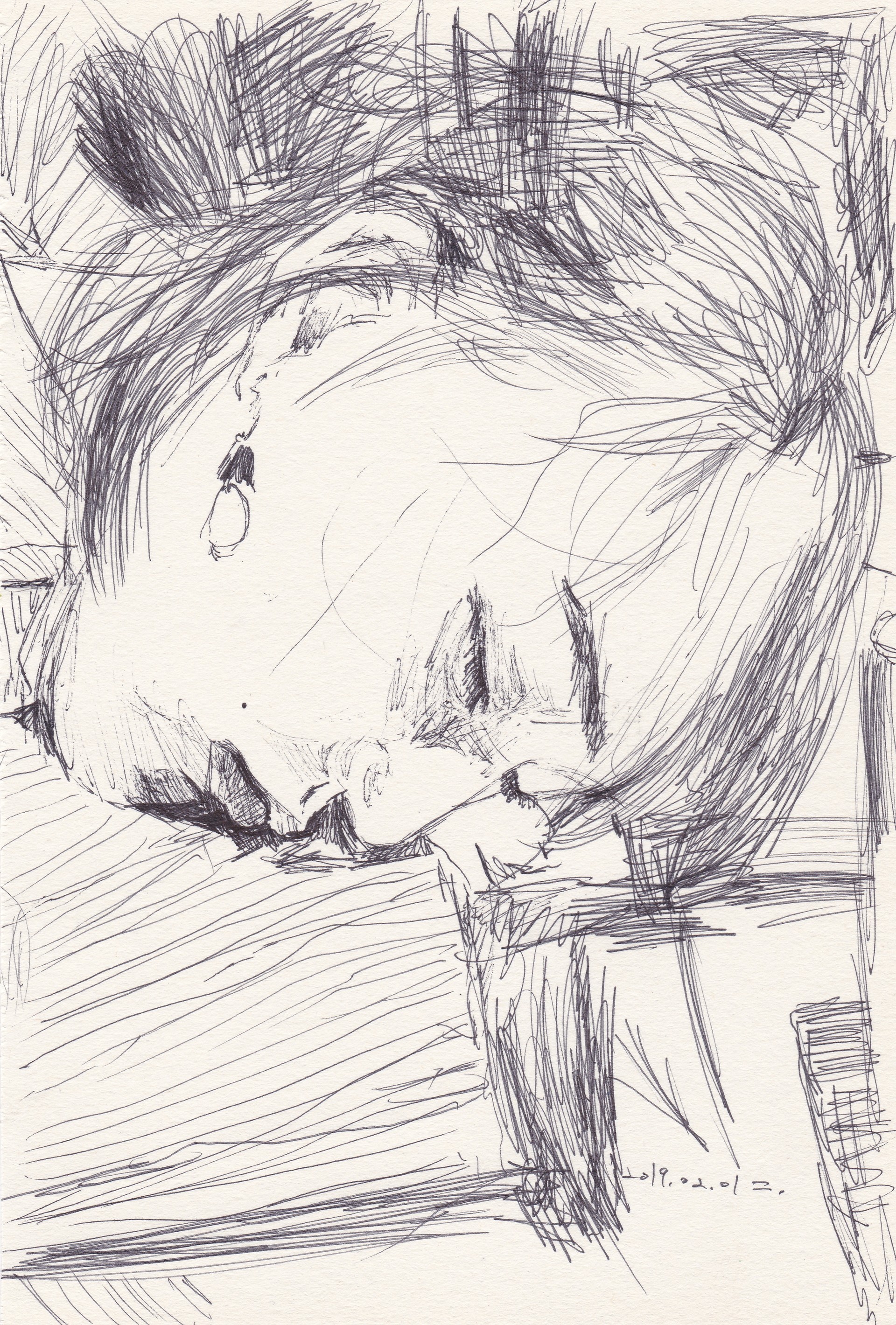 카페에서 잠이 든 여인, 2019, pen on paper, 20*13(cm)