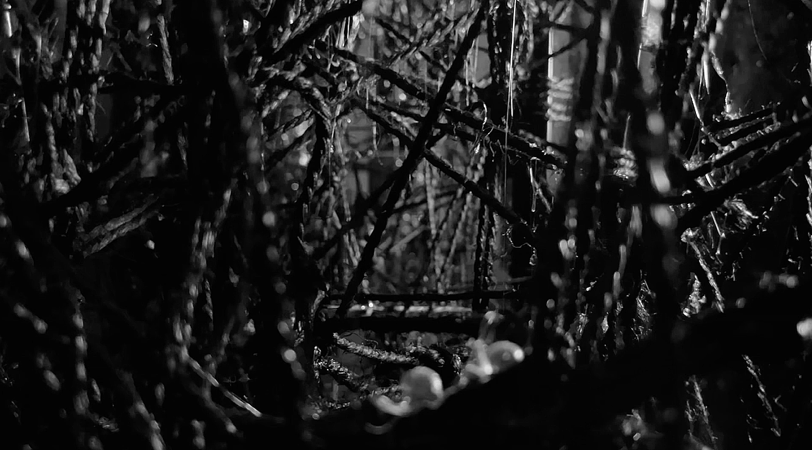 Obex  Ĭcis  2023 - 5 min