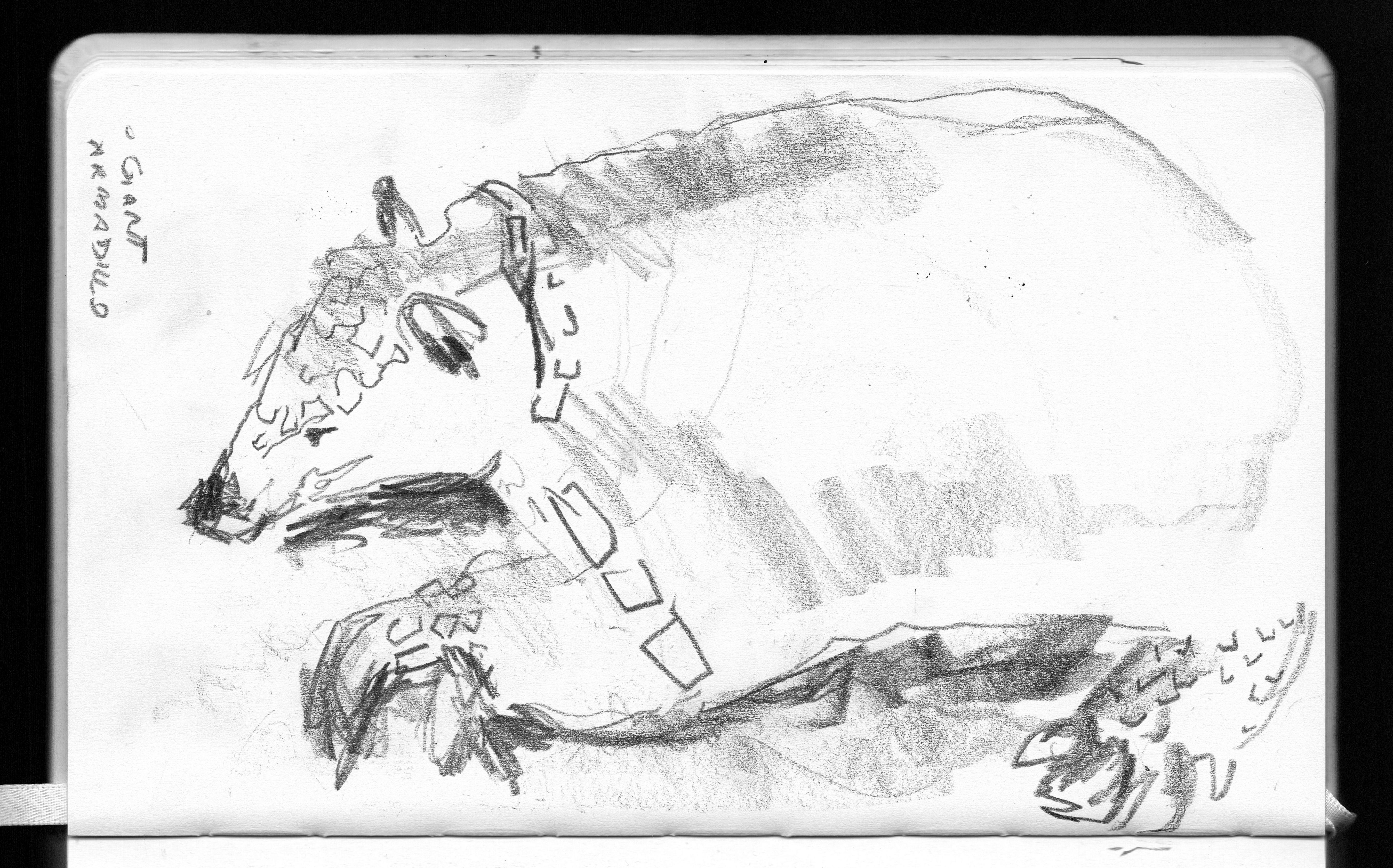 British Natural History Museum, London. Graphite, July 2023