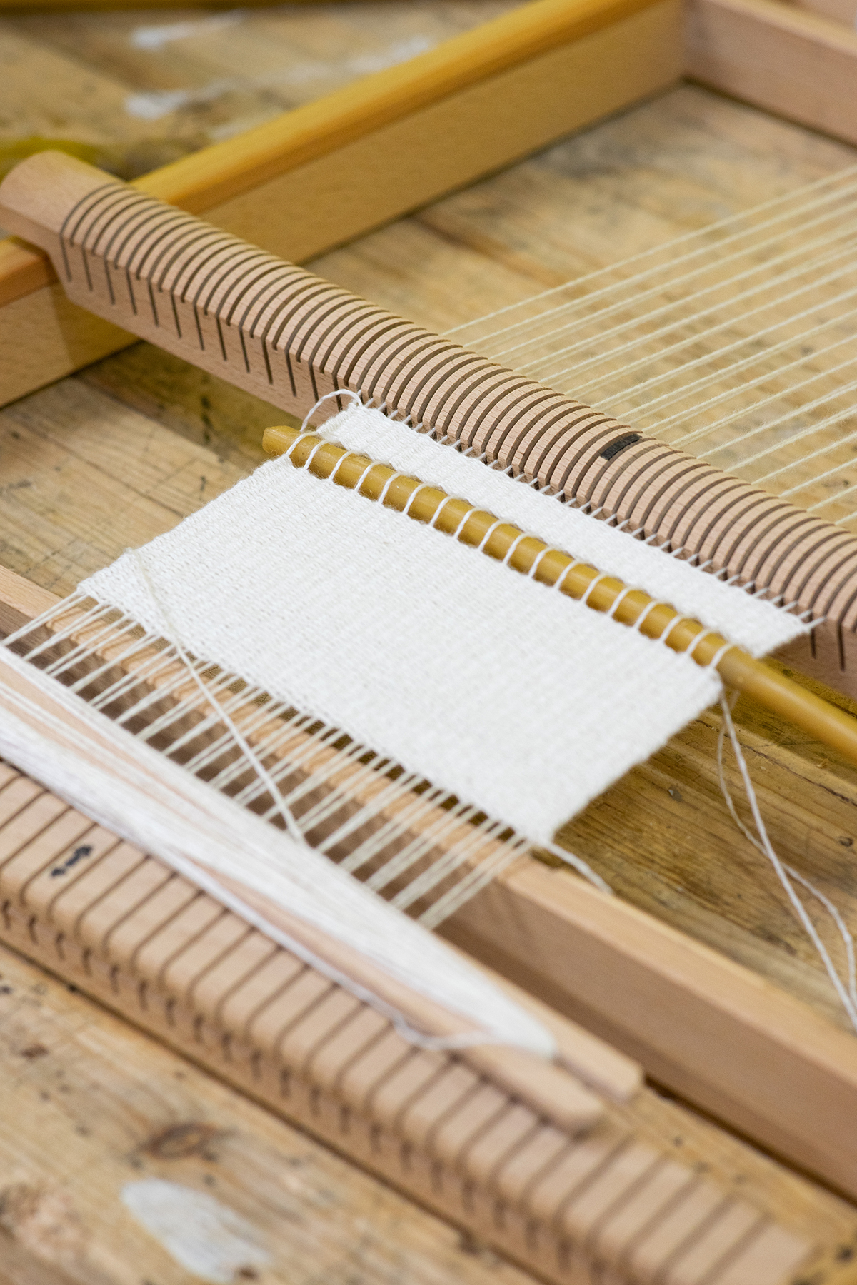 Photo credit : Vicent Orts