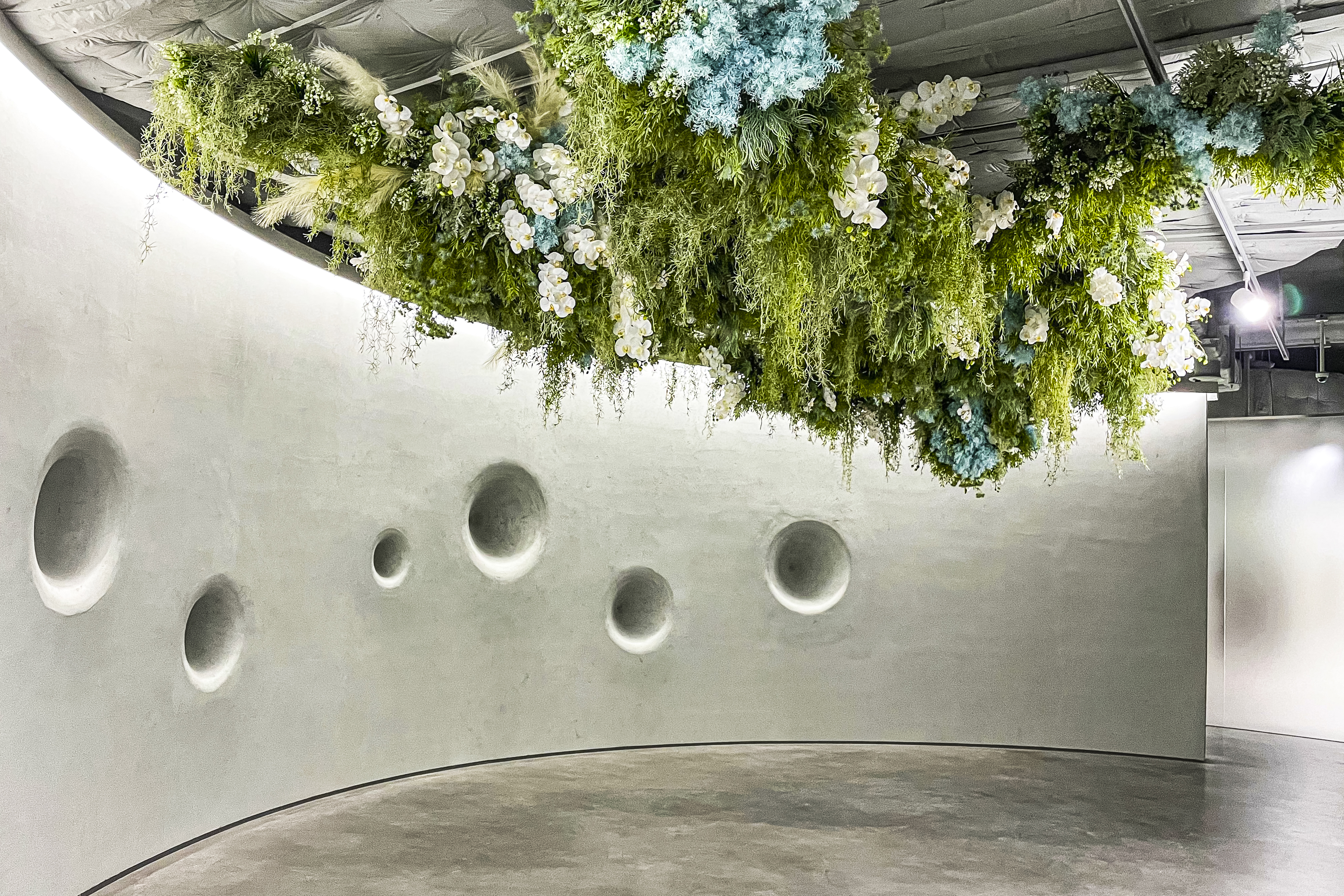 HYBE INSIGHT: Euphoria