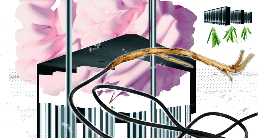 2020_The water we drink first runs through the veins of the servers