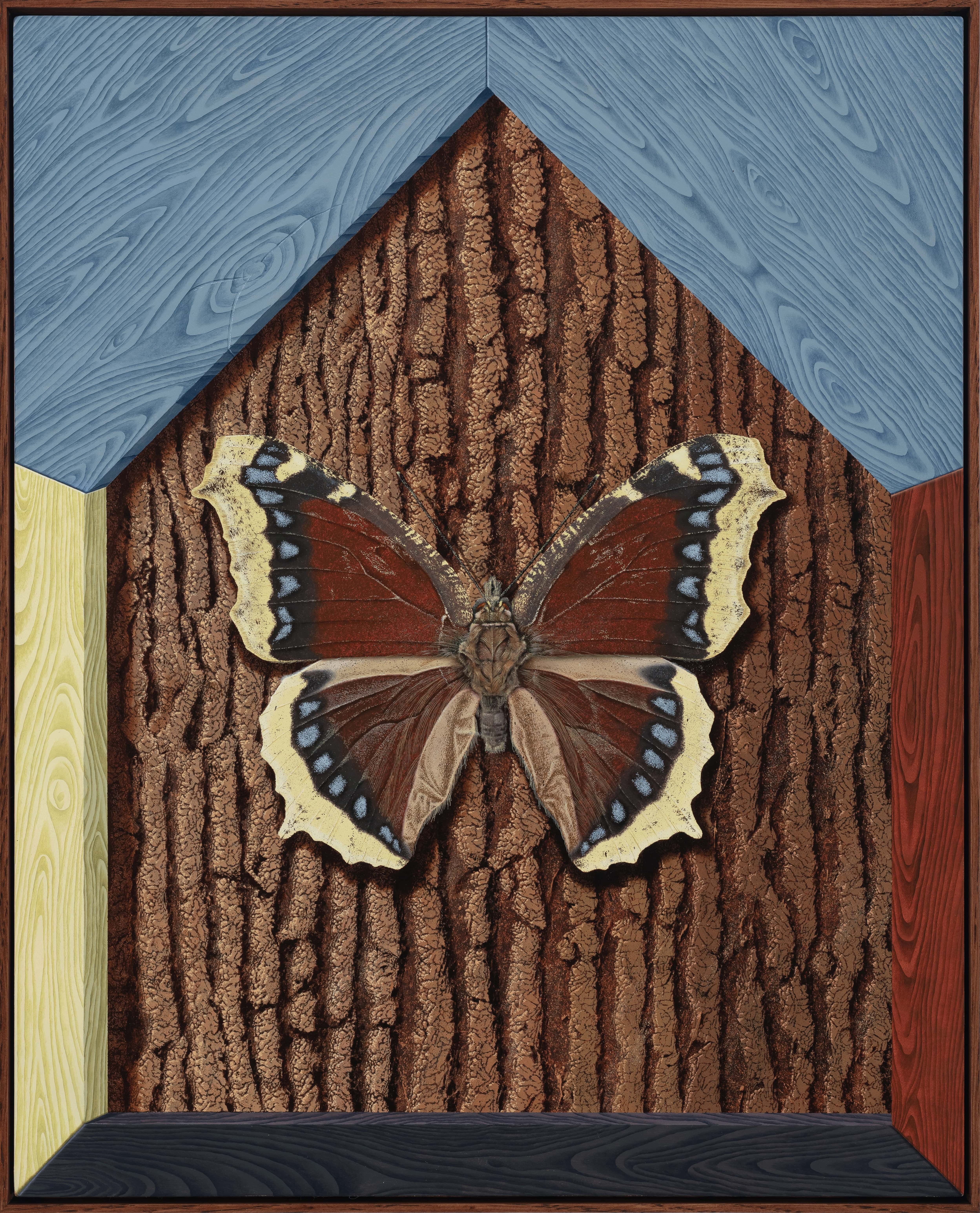 Mourning Cloak, 2024
