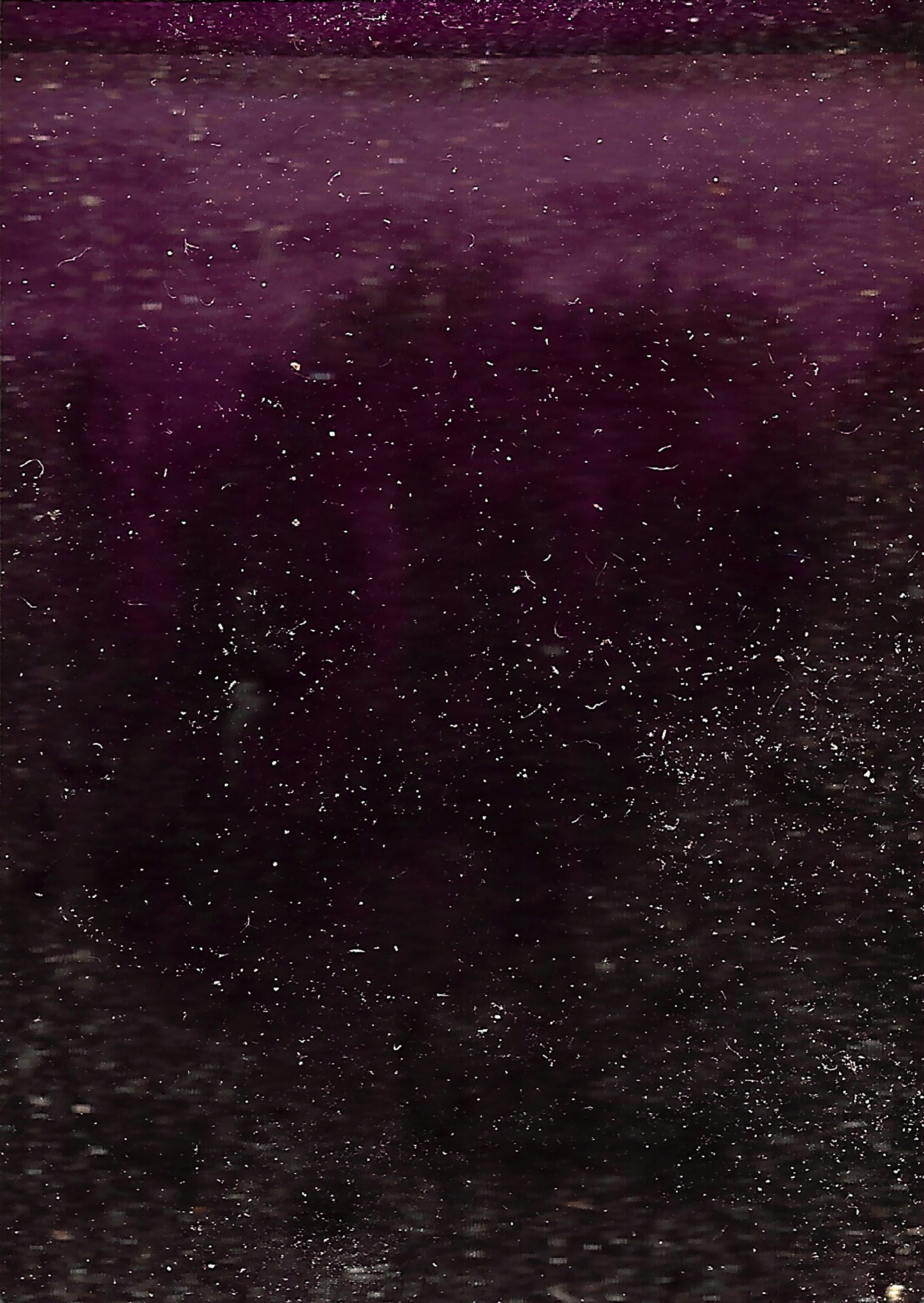 27, St Clement of Ohrid III, 2020