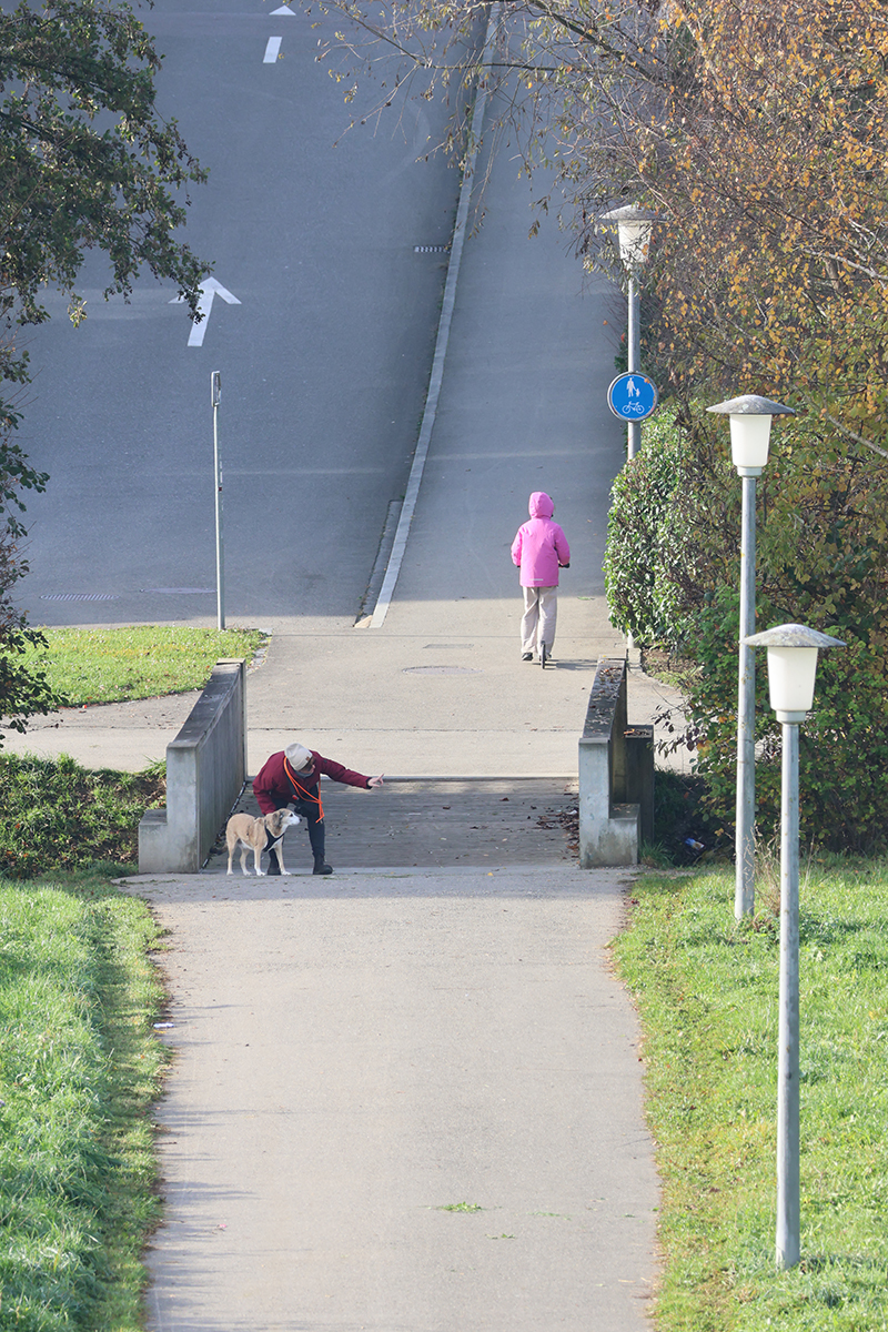 Sie zeigt den Weg, der Hund den Willen. Im Alltag steckt manchmal mehr Prinzipienstreit als gedacht.