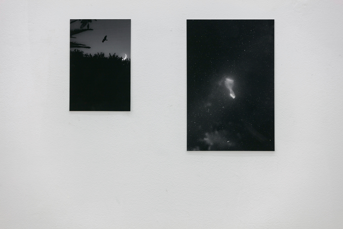Point Centre for Contemporary Art, Nicosia, Cyprus, 2019