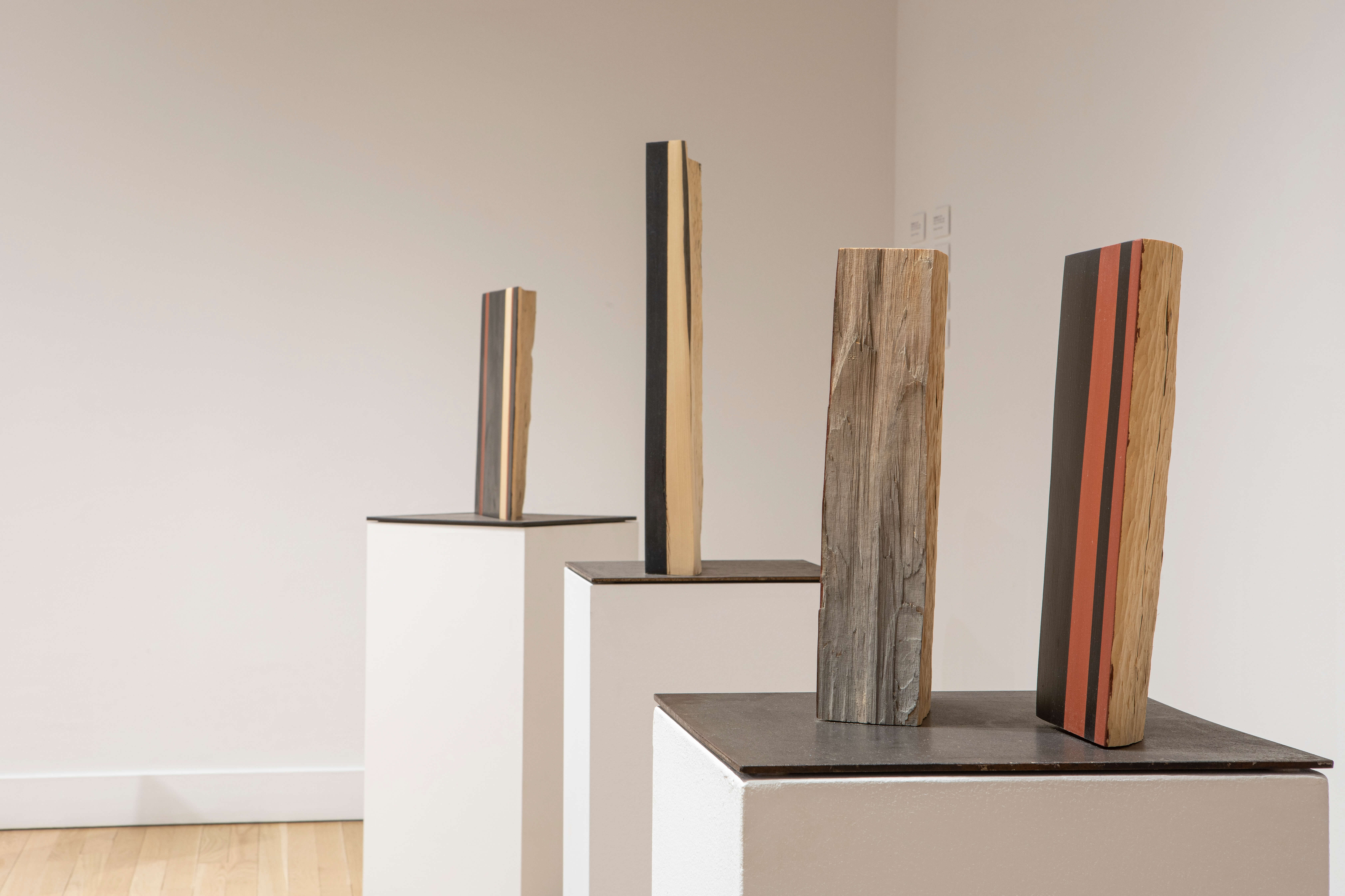 Incredible Lightness: Retrospective (solo exhibition) - Oxide Cedar (Various) - Boulder Museum of Contemporary Art - 2021
