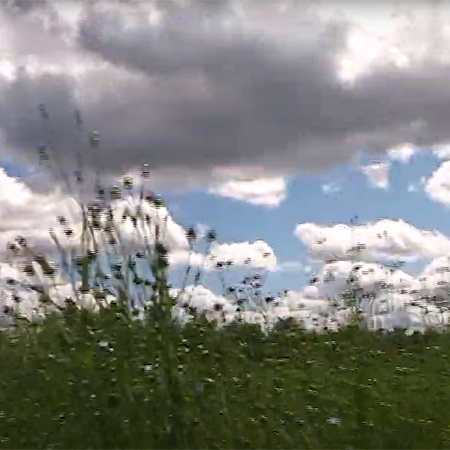 VOLCHOK: Nikola-Lenivets