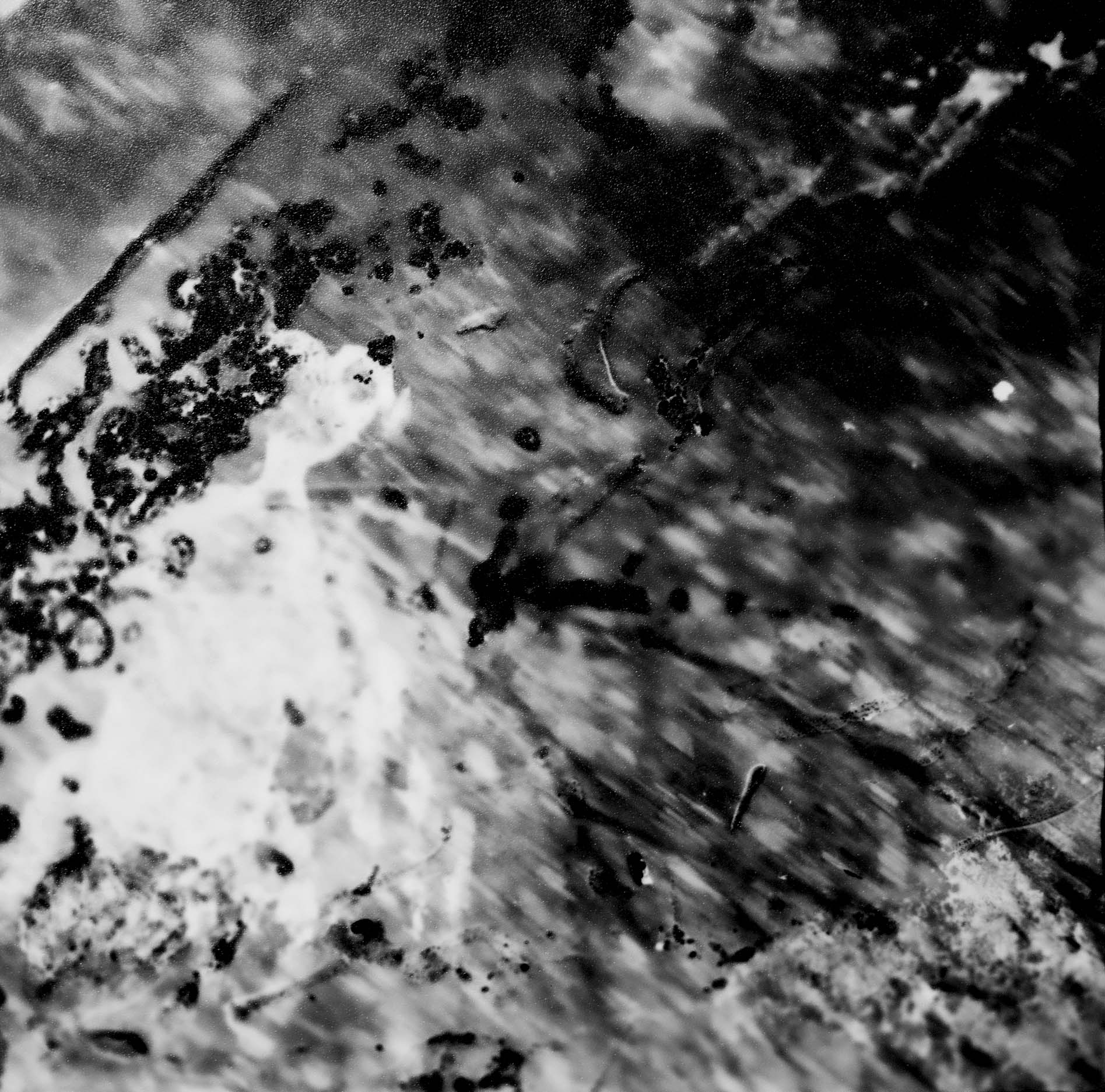 2019 120 film