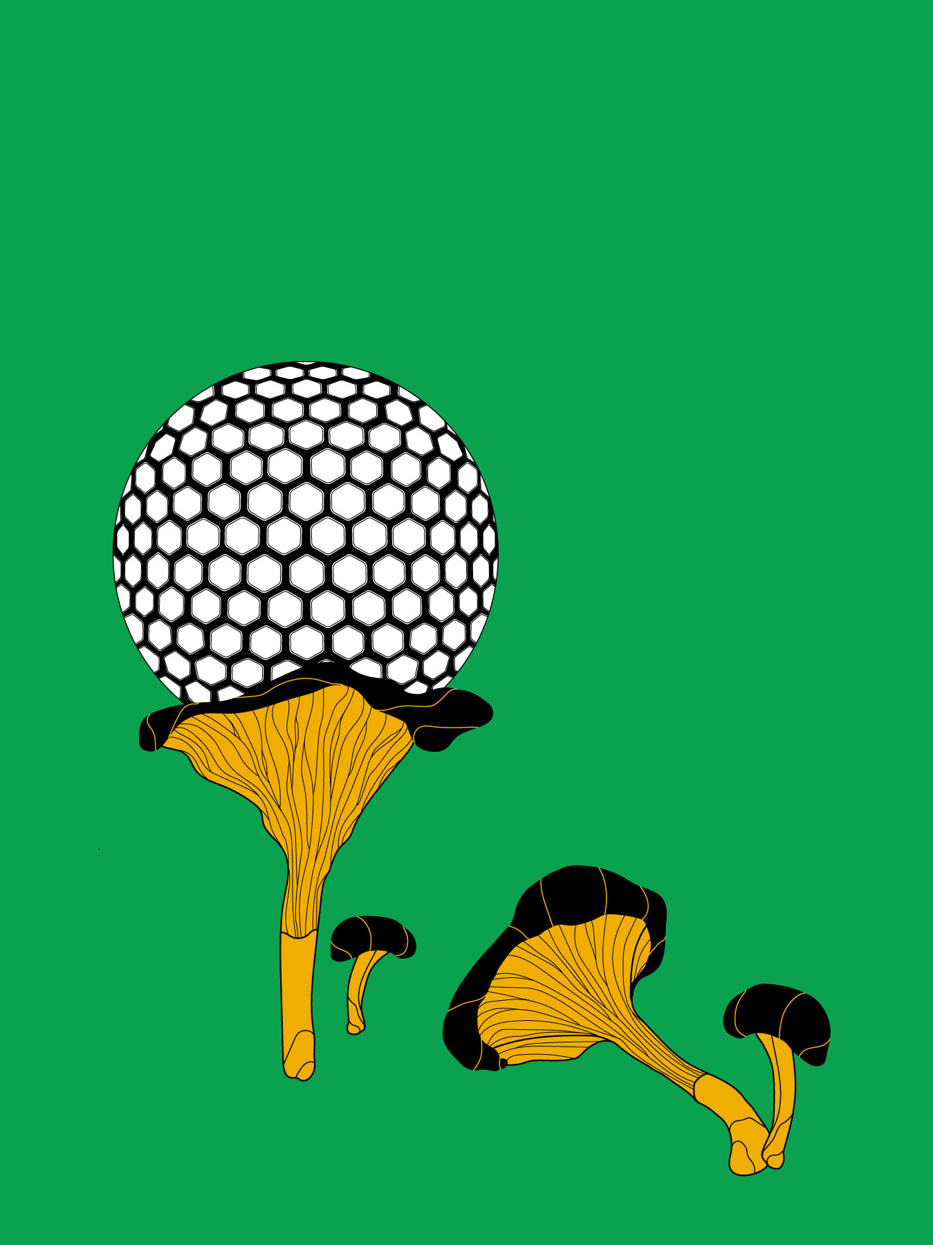 Von ökologischer Rasenpflege mit Komposttee | Of organic lawn care with compost tea