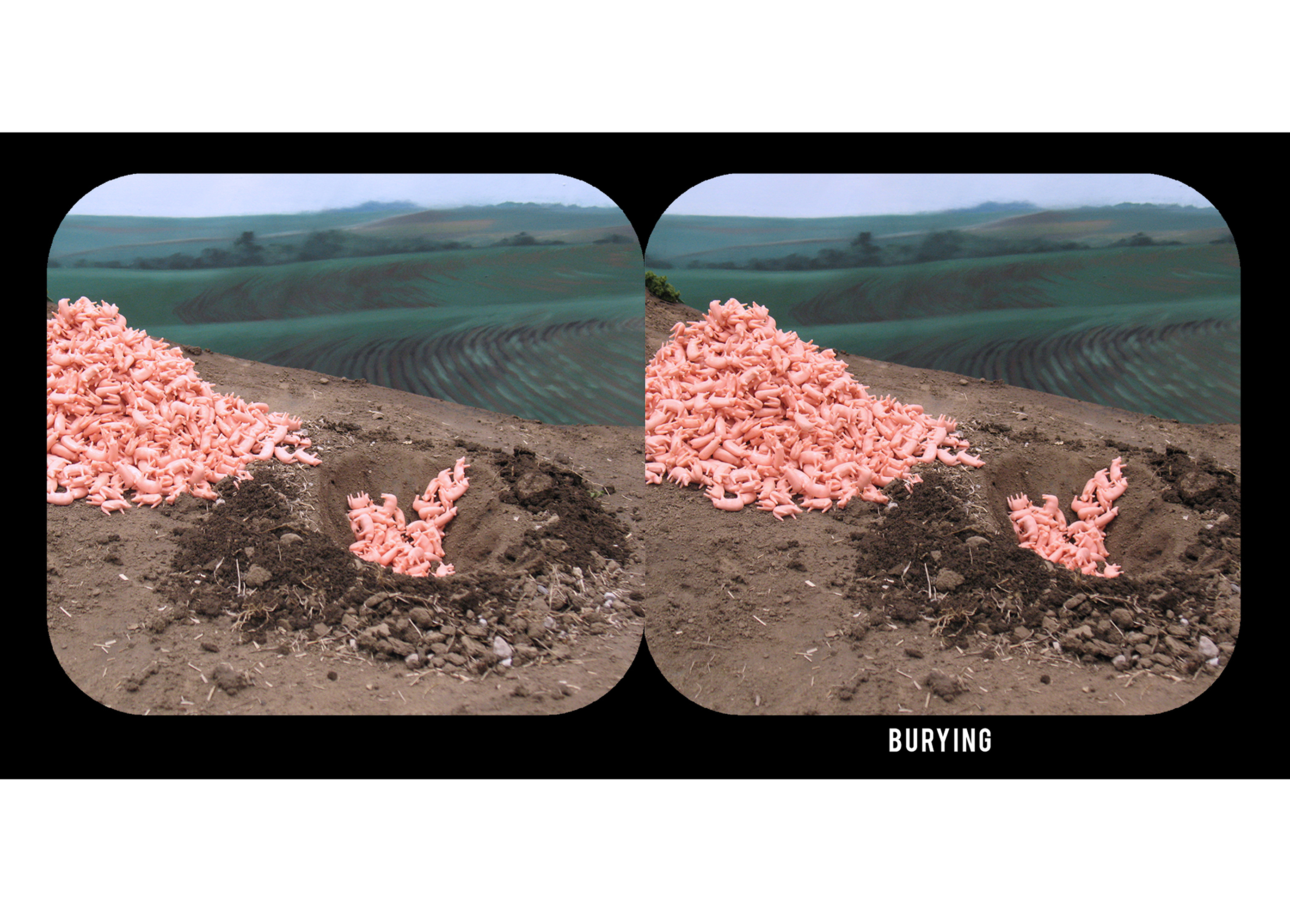 Stereoscopic 3D illustration of methods of carcass disposal for catastrophic hog mortality based on recommendations from an Extension publication.
