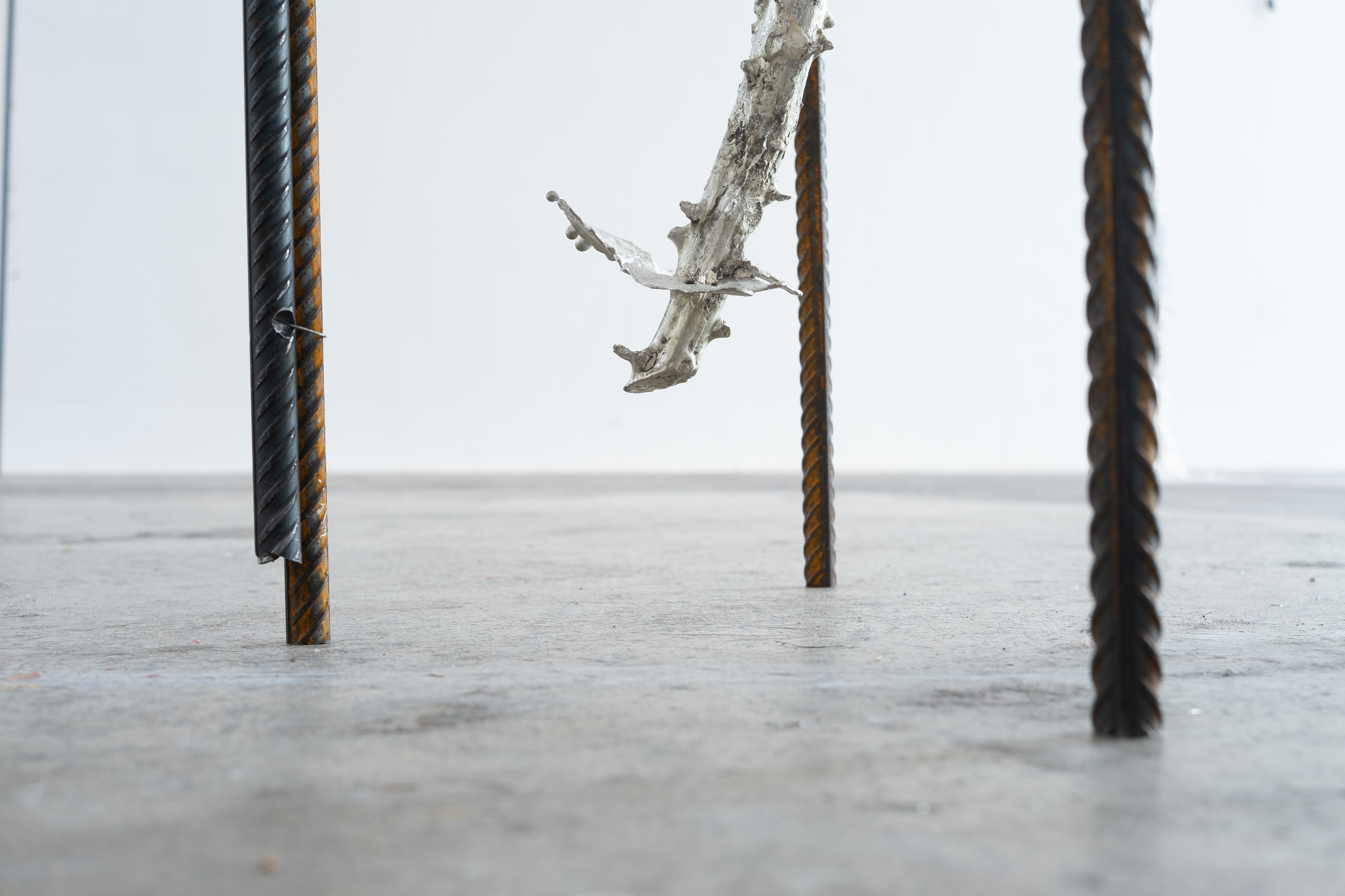 Sharpen your claws, detail. Jasmine Pajdak