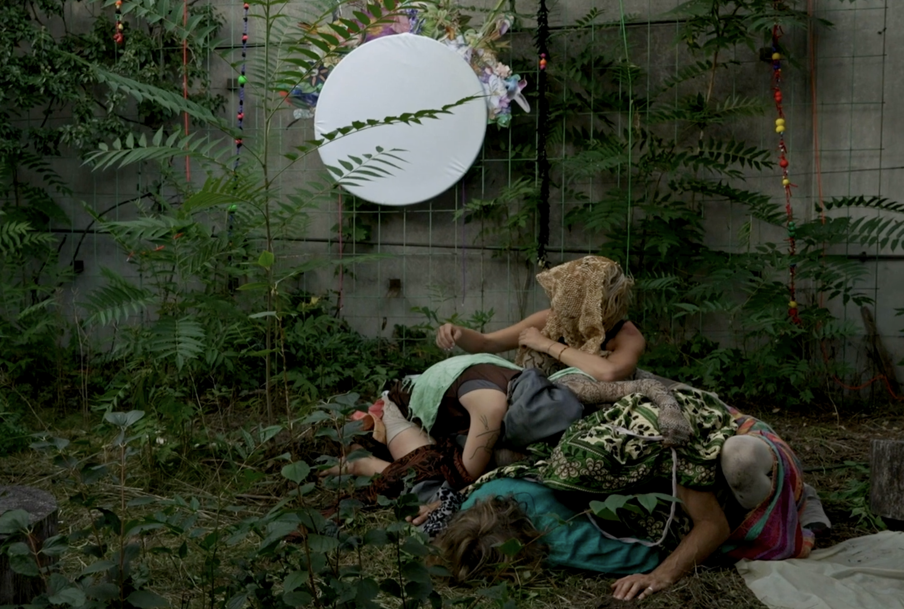 Our Family of Trees | One Take Shot