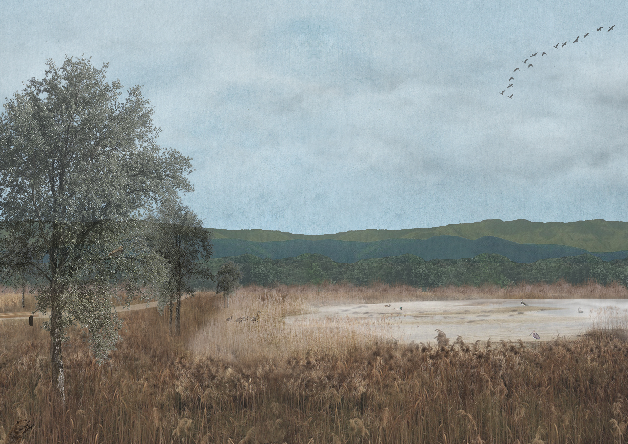 Nature in Regensdorf: Remaining wetlands are preserved and extended around Katzensee creating continous recreational zones.