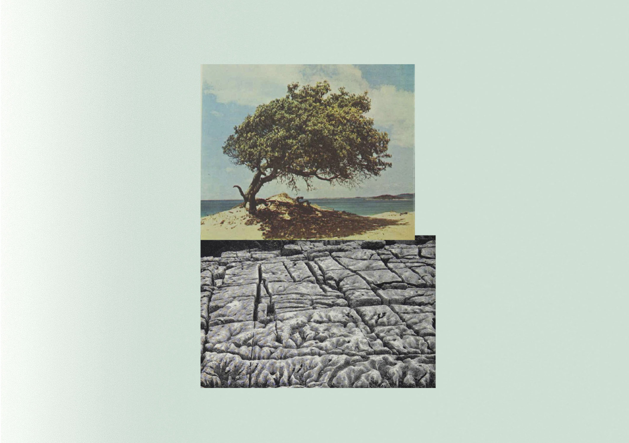 L’outil hypnotique pour la création : Émotions, réification et météorologie du corps | Catherine Contour