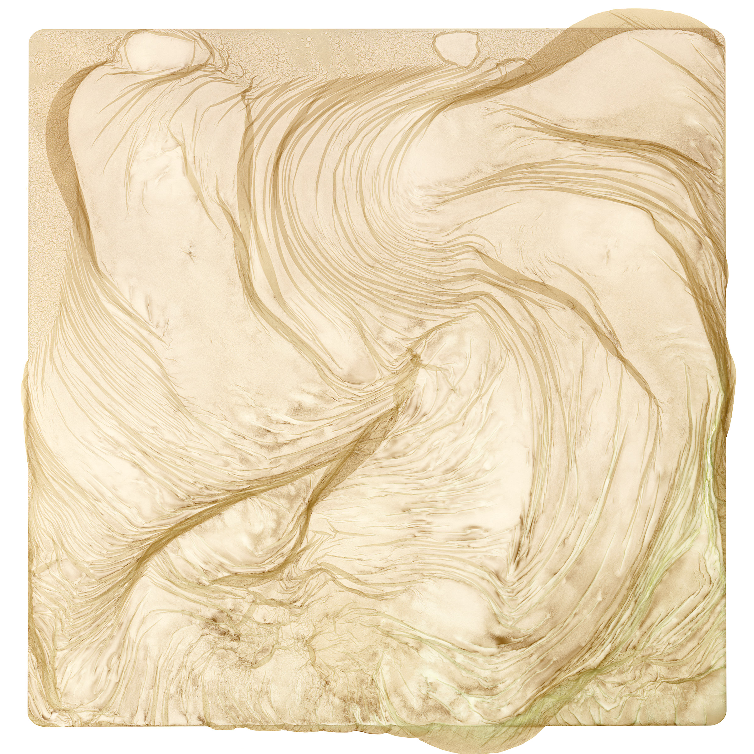 Gelatin Silver 11, 2021, 40 x 40"