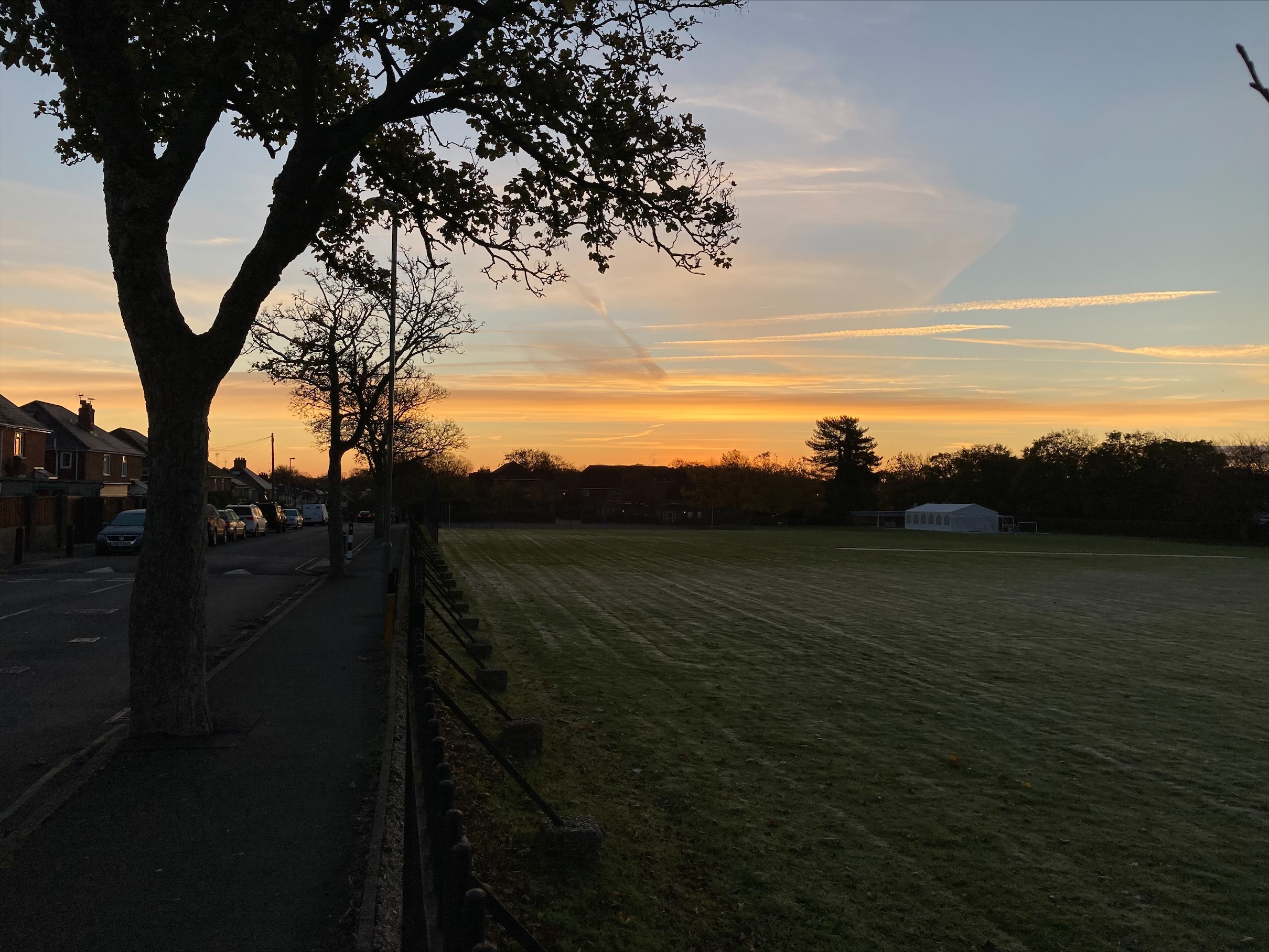 An orange sky can be seen beyond a field of grass next to a road with houses and cars.