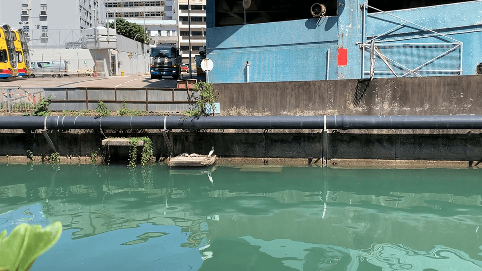 NULLAH PLATFORM 10:42 WONG CHUK HANG