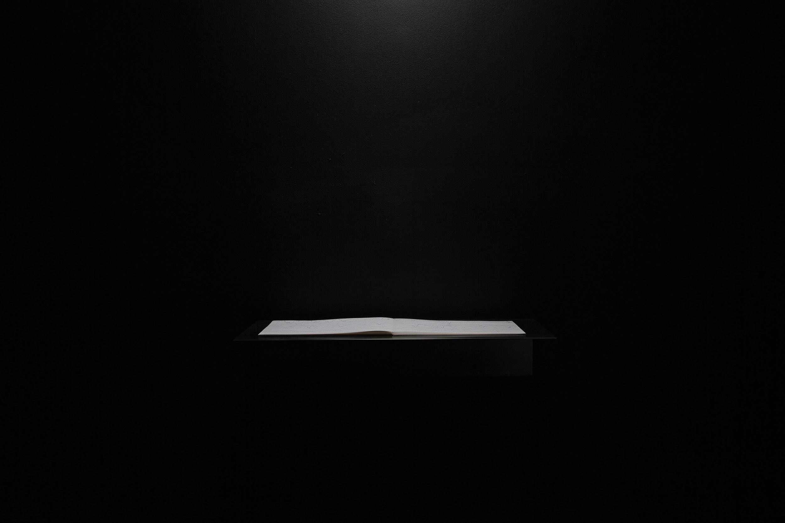 Marcapasos, EKG of the artist's heart at 12 years old on blackened steel custom shelf, 8 x 24 inches