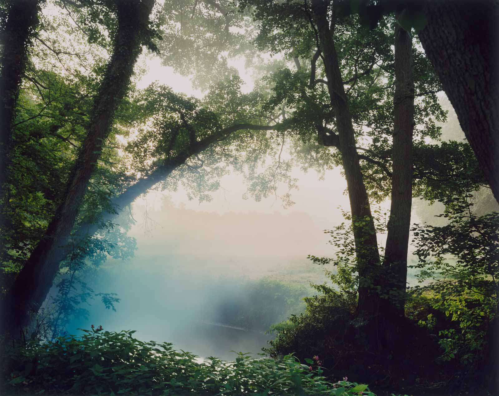 'Blue Grenade on Grayling Bend'