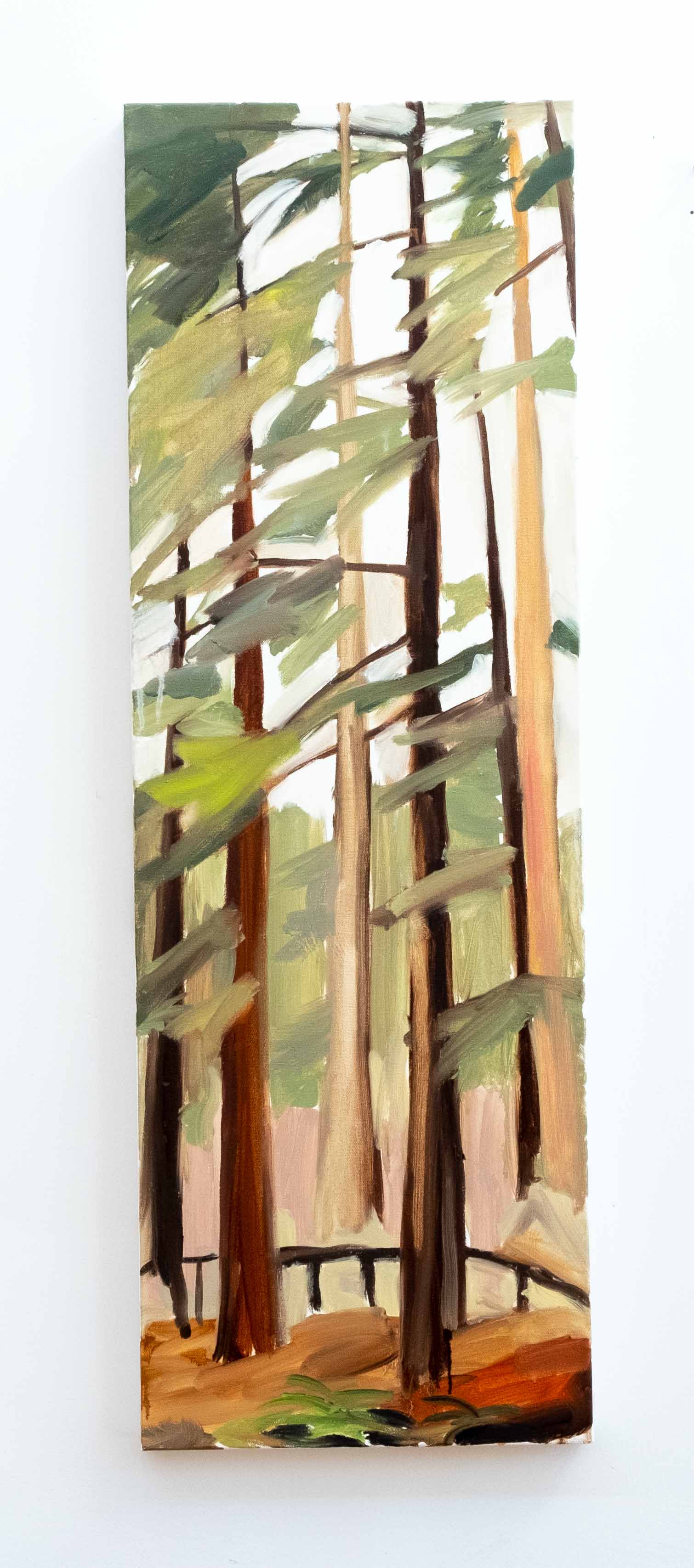 California redwood, Tuolumne Grove #4, 36 x 12 inches, 2019