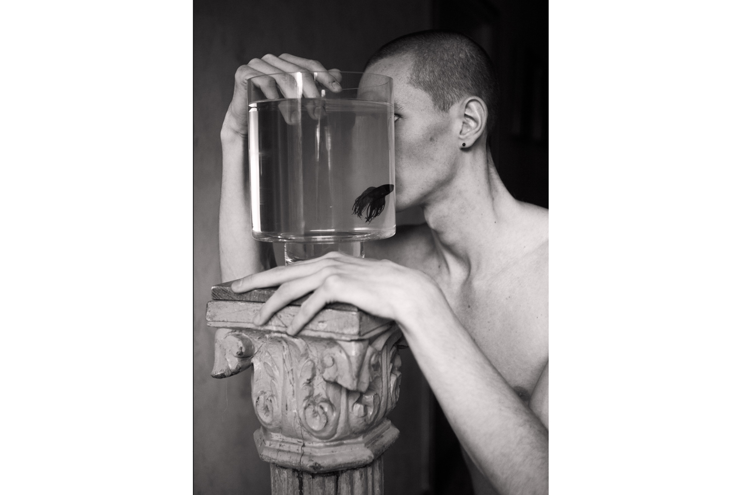 Boy loves Georges, 2016